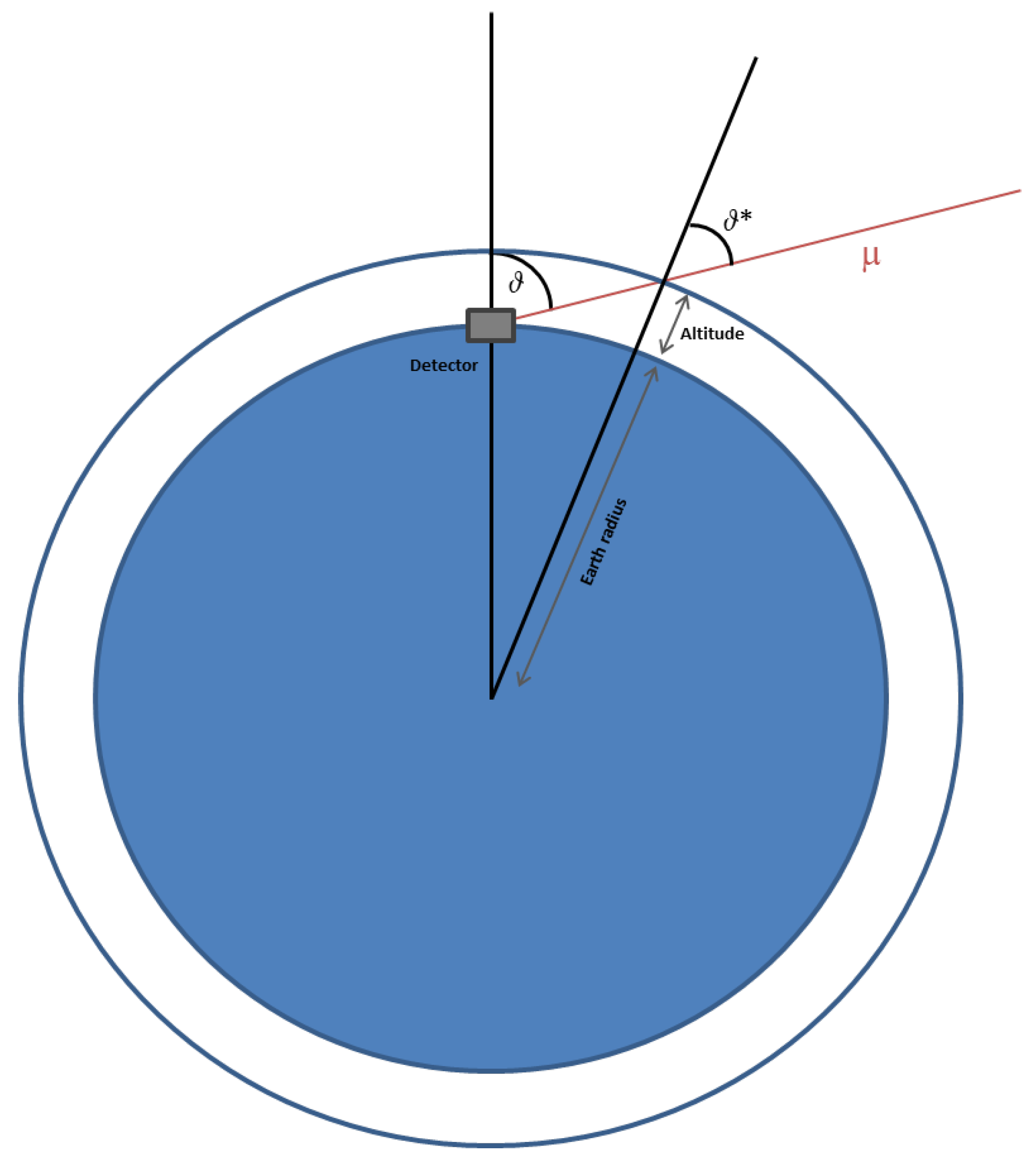 Principles and Perspectives of Radiographic Imaging with Muons