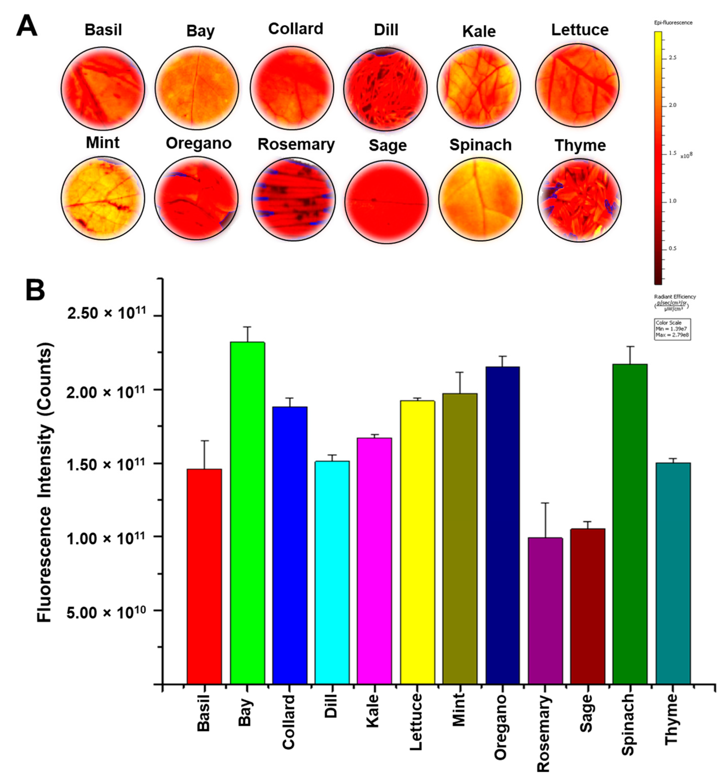 Jimaging 07 00256 g001 550