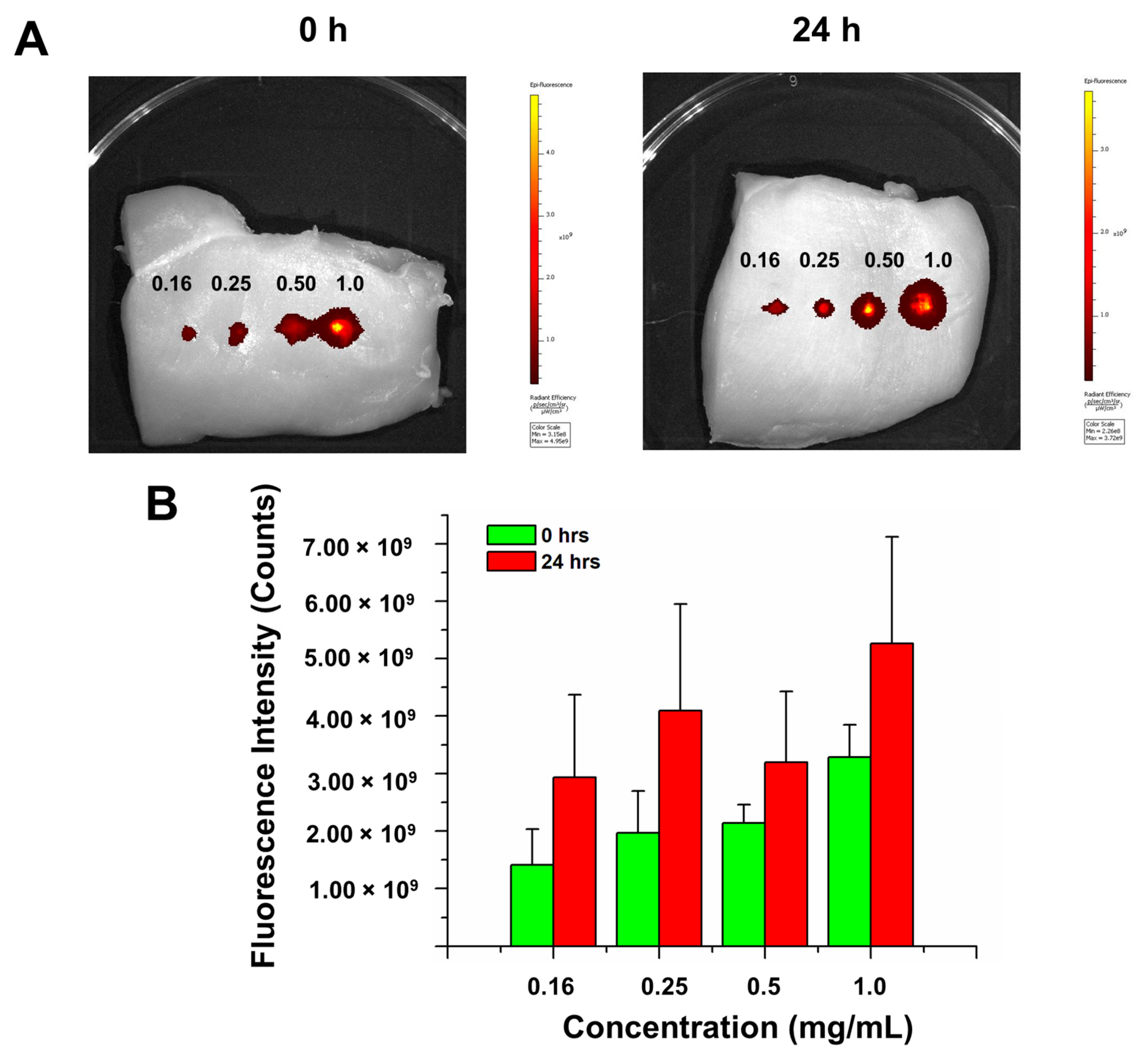 Jimaging 07 00256 g005 550