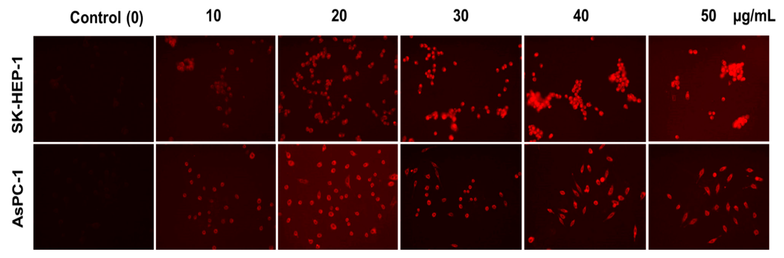 Jimaging 07 00256 g006 550
