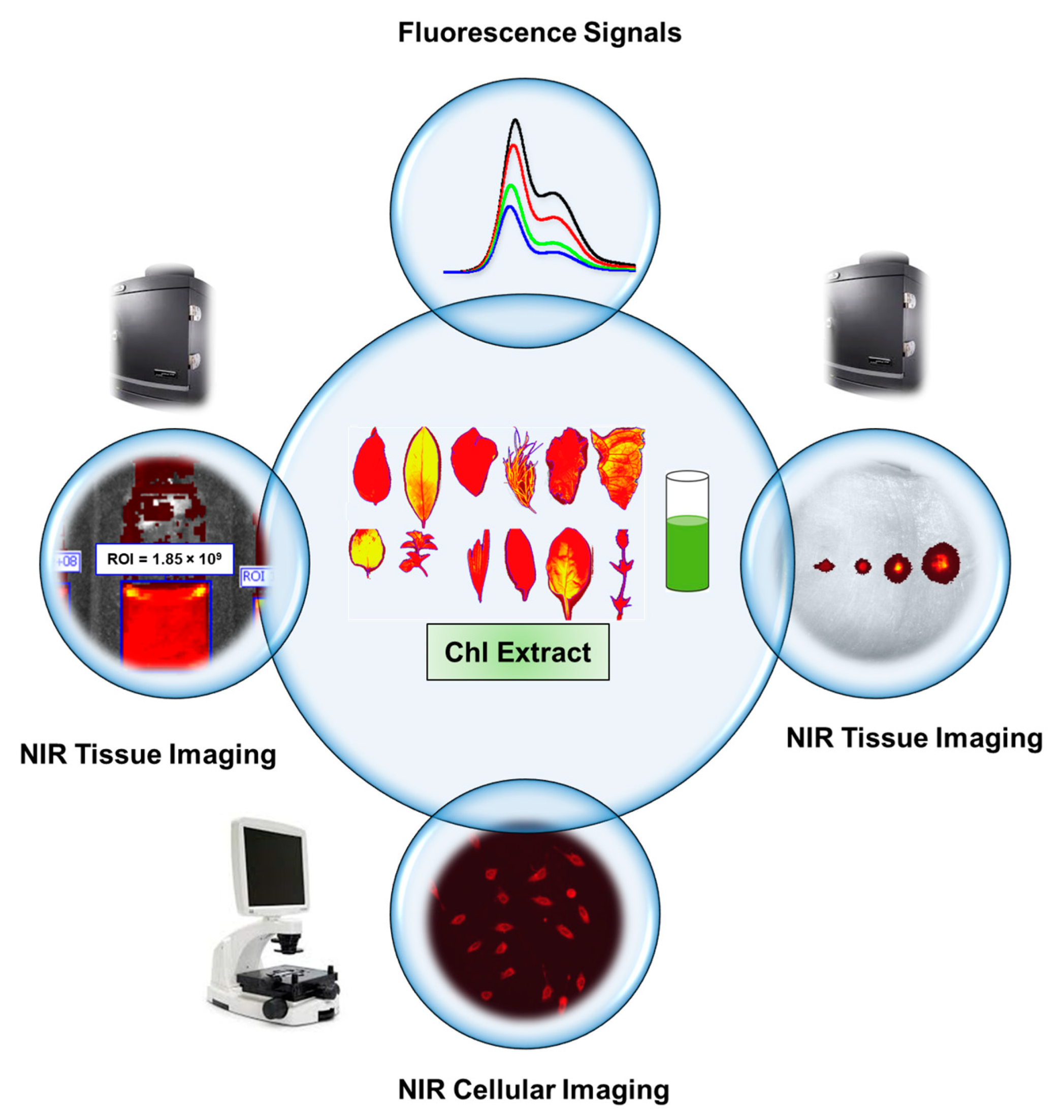 Jimaging 07 00256 sch001 550