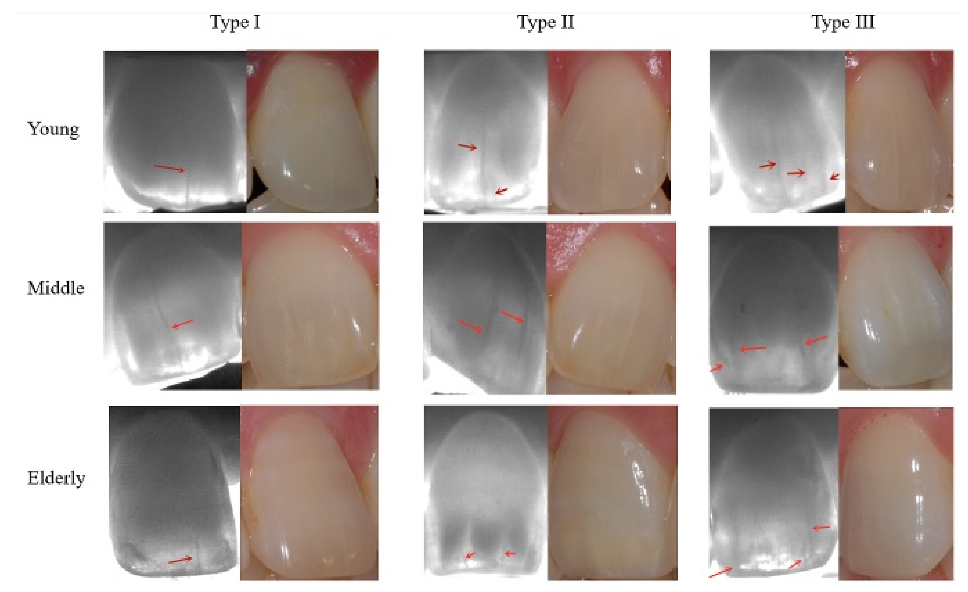 Jimaging 07 00259 g002 550
