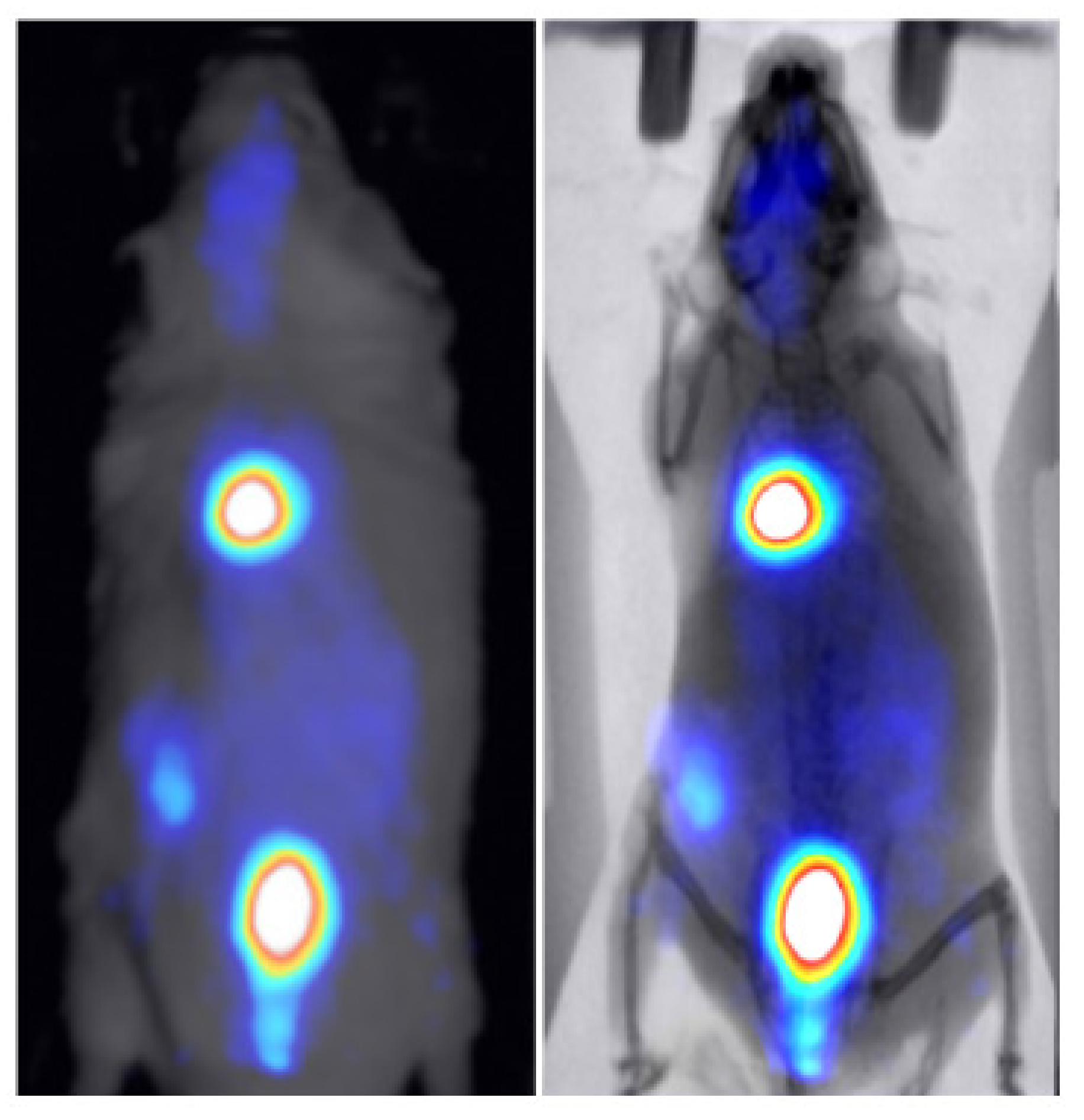 Jimaging 07 00262 g008