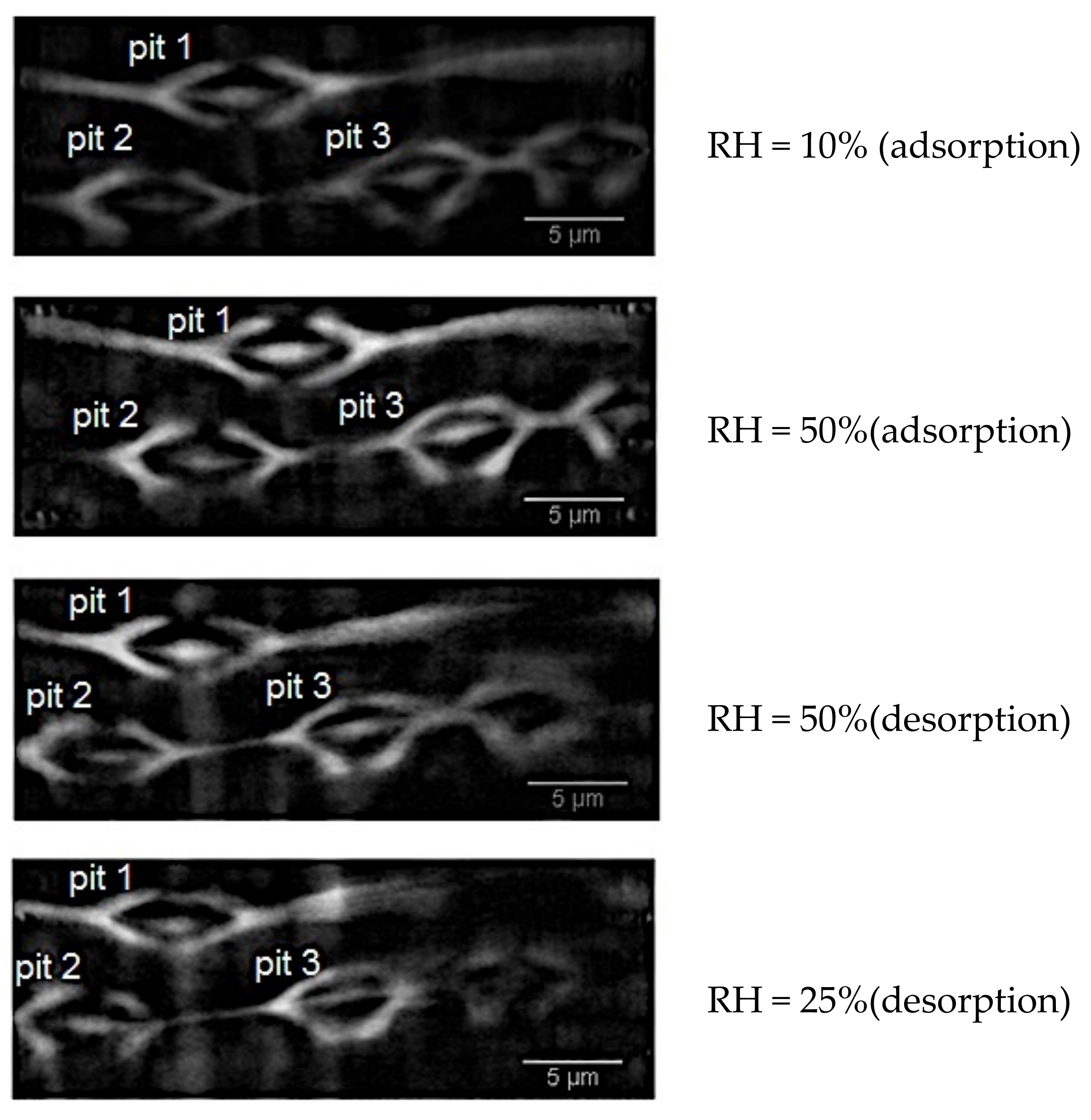 Jimaging 07 00263 g008