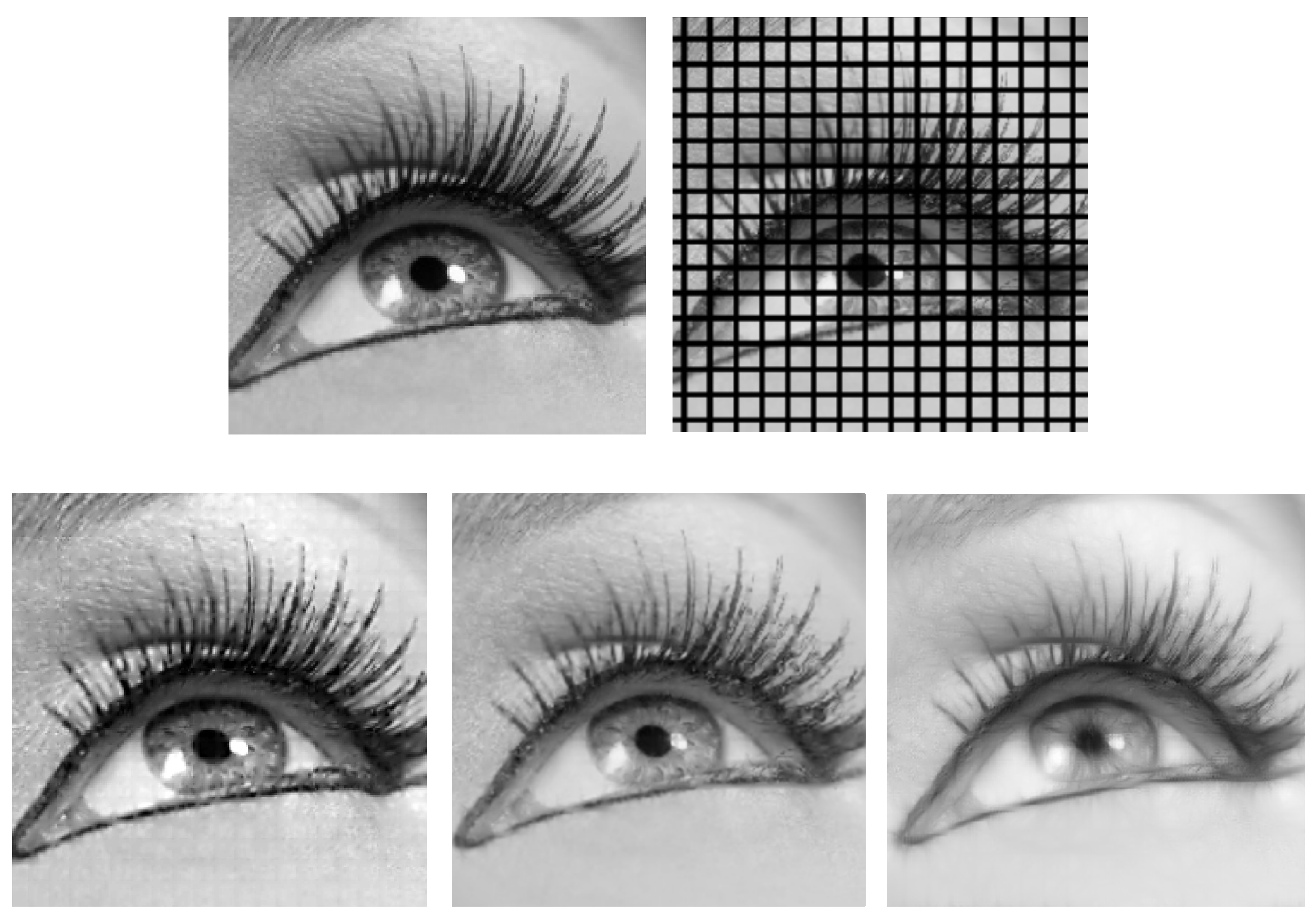 Jimaging 07 00271 g019 550