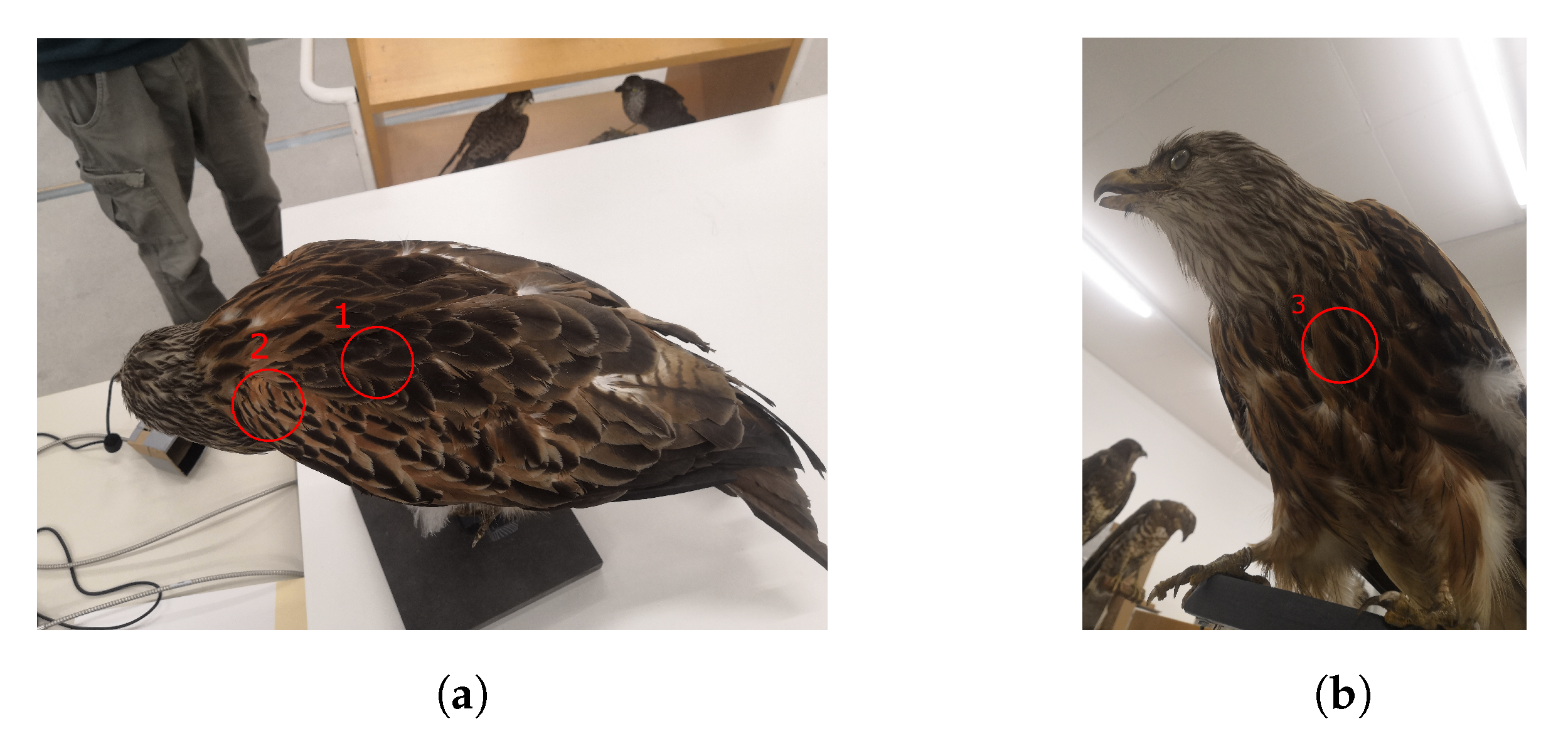 Jimaging 07 00272 g005 550