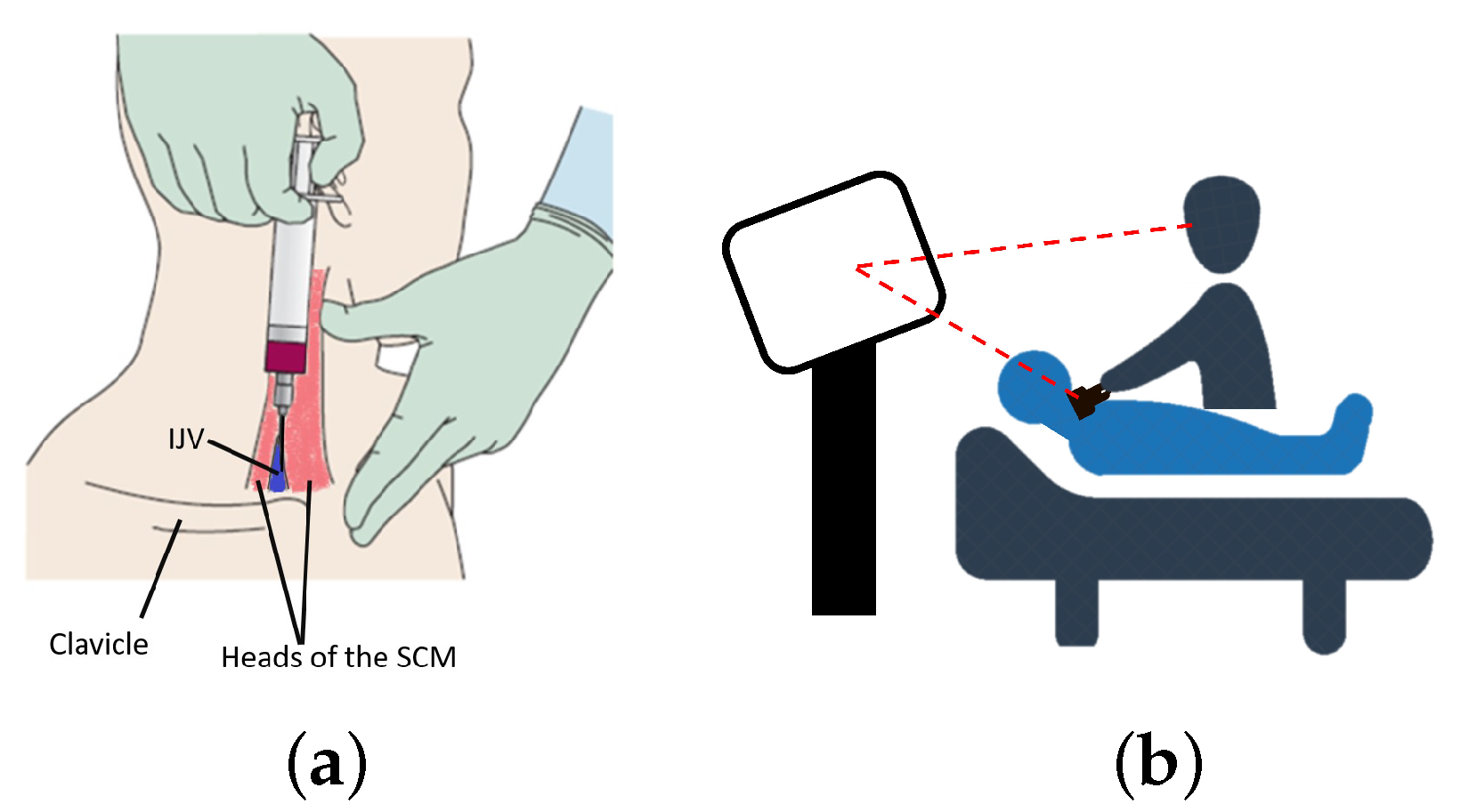 Jimaging 08 00007 g001
