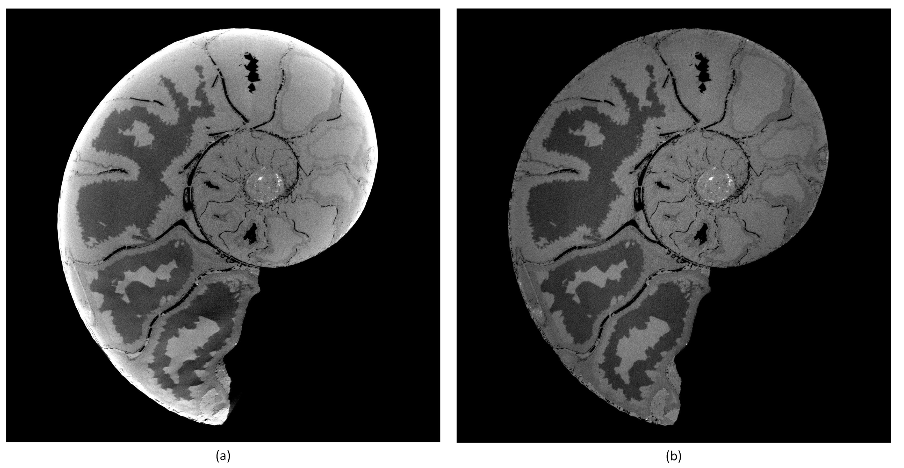 Jimaging 08 00012 g003 550