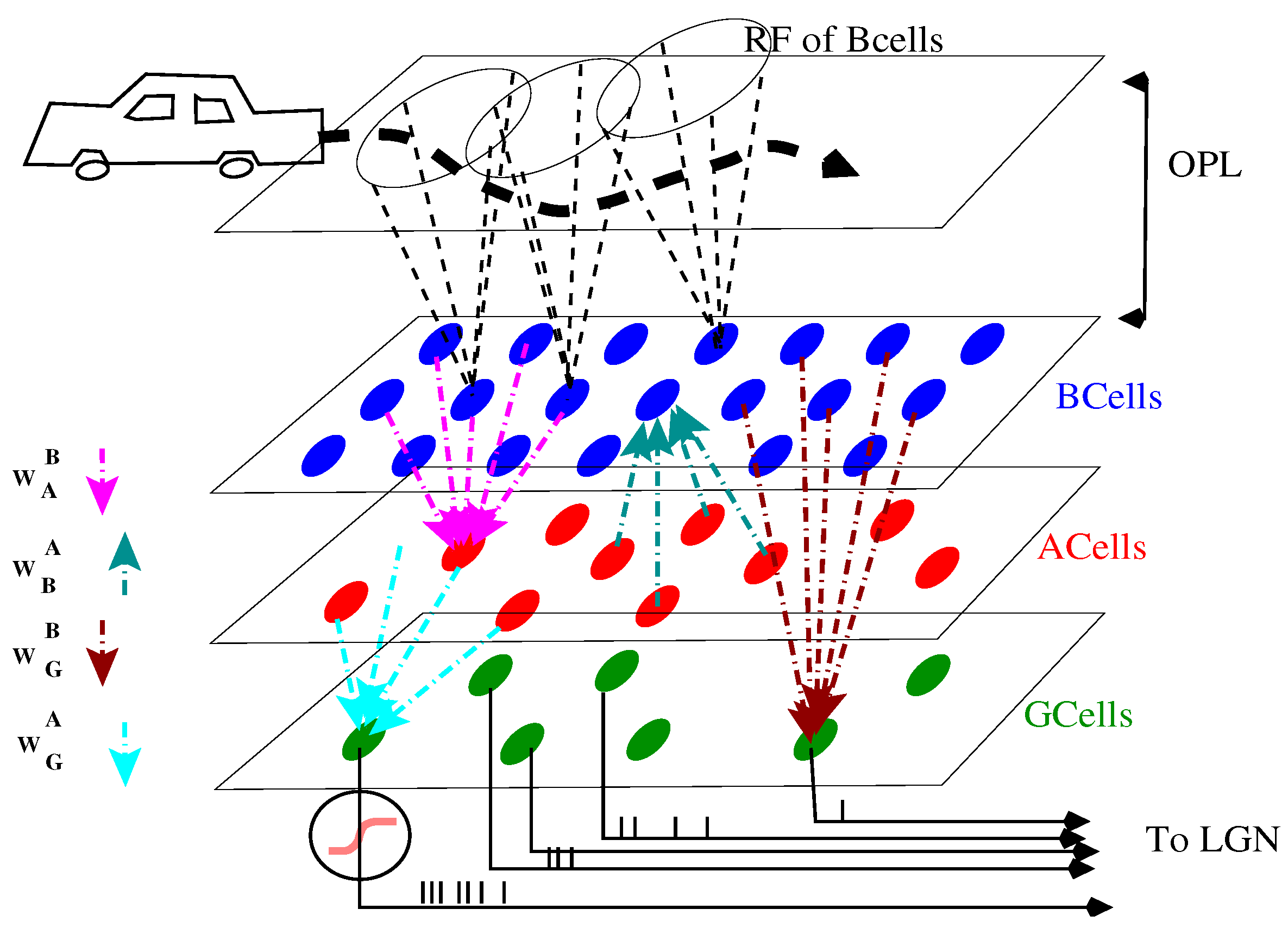 Jimaging 08 00014 g001 Jimaging 08 00014 g001