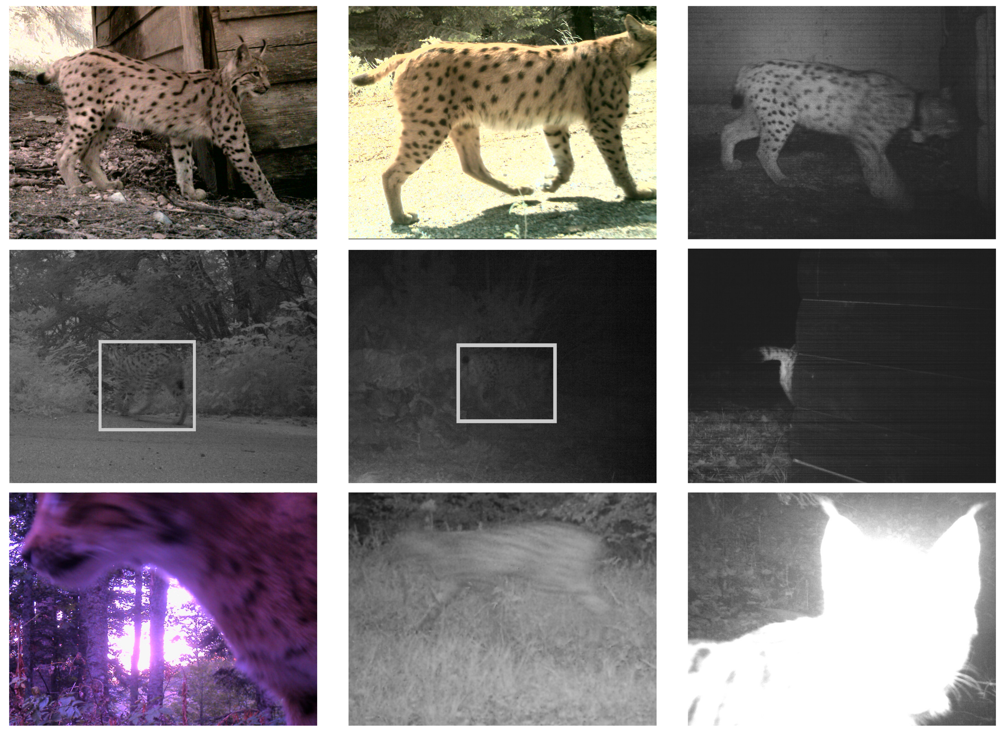 Jimaging 08 00020 g003 550