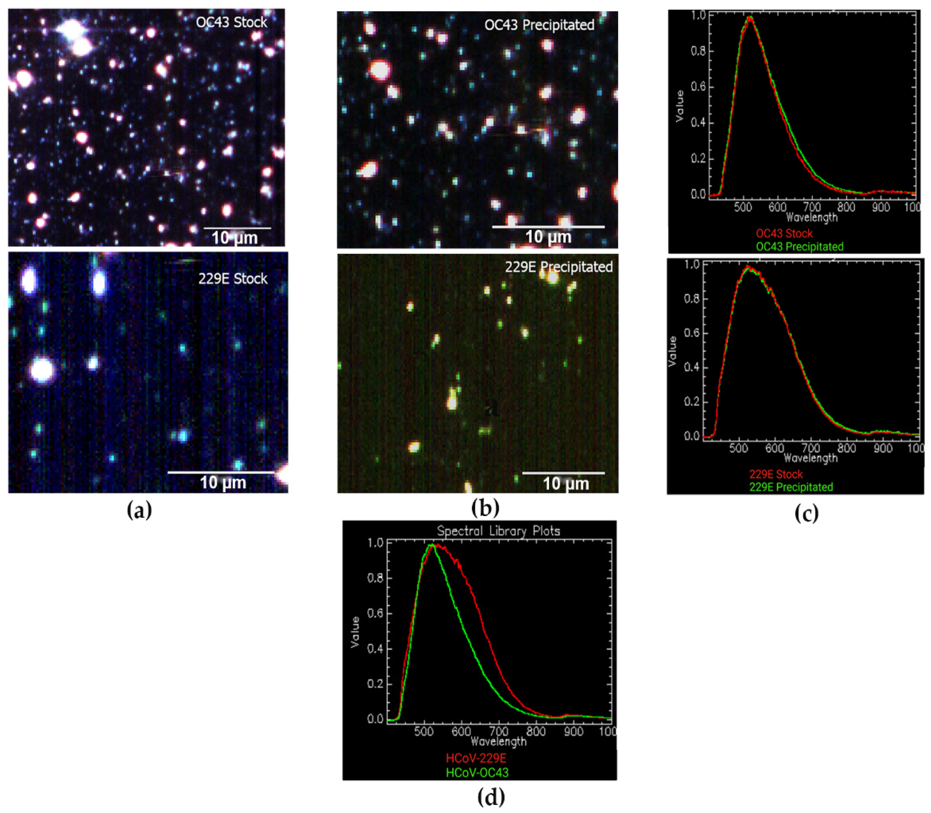Jimaging 08 00024 g003 550
