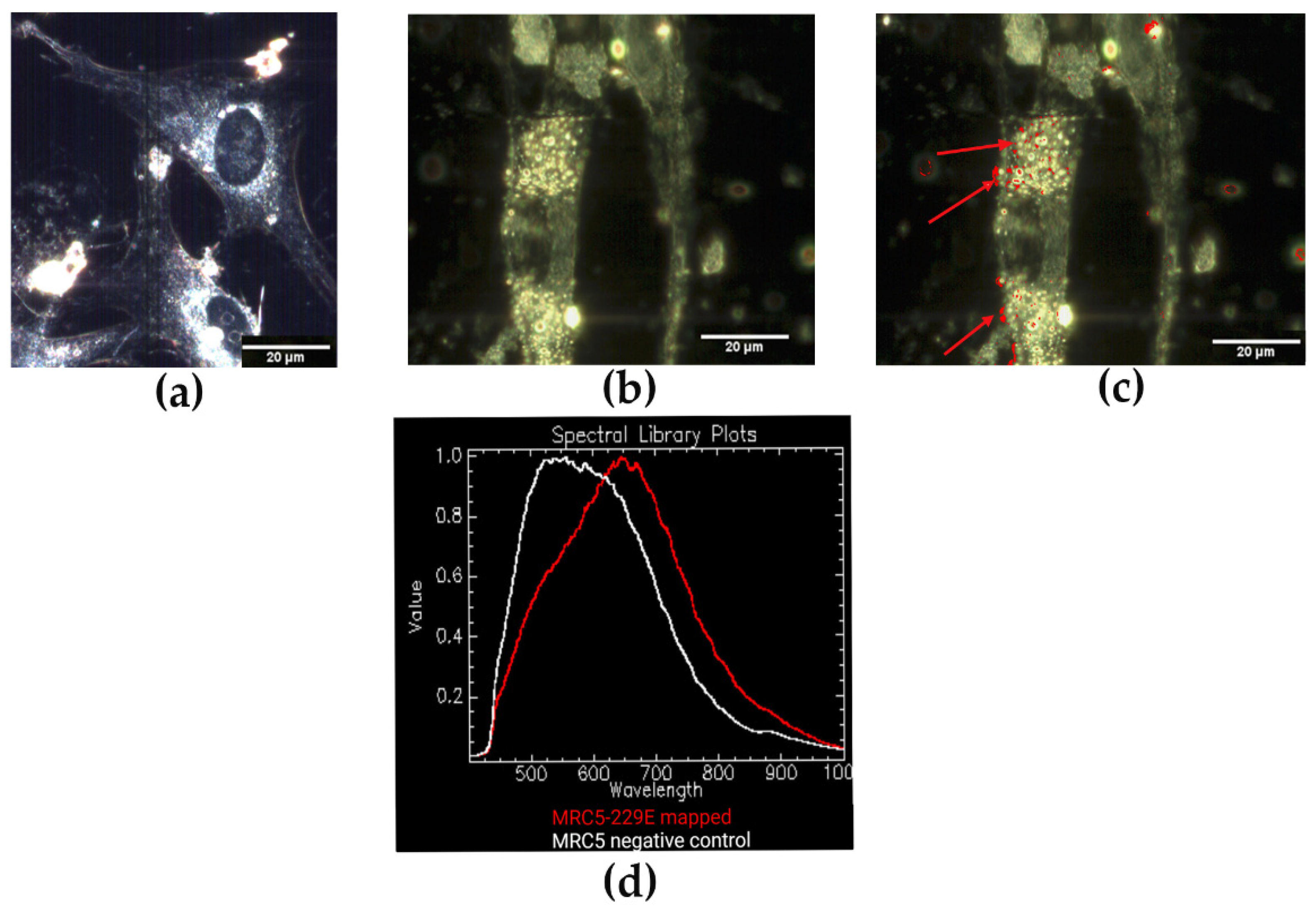 Jimaging 08 00024 g005 550