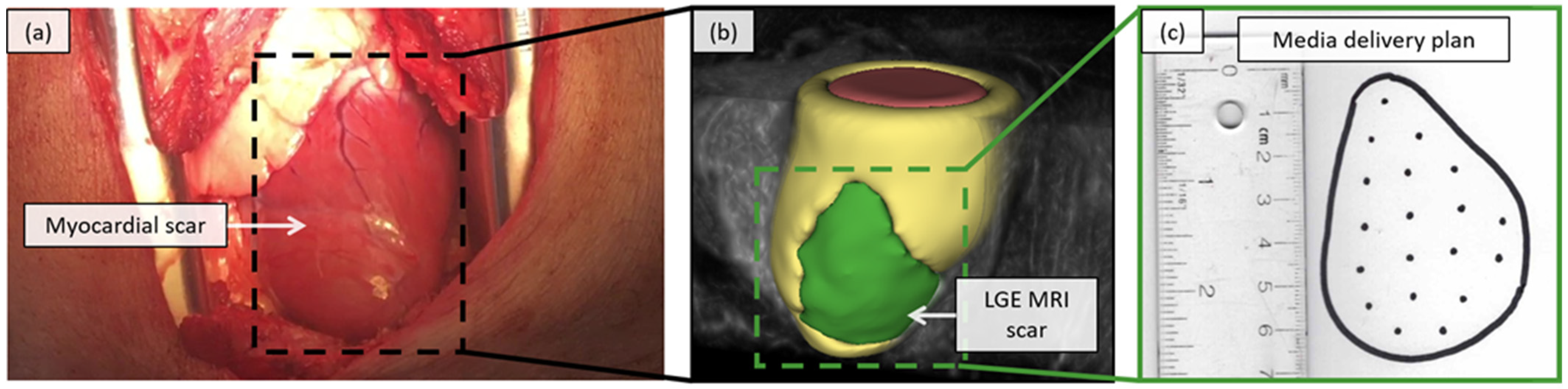 Jimaging 08 00033 g001 550