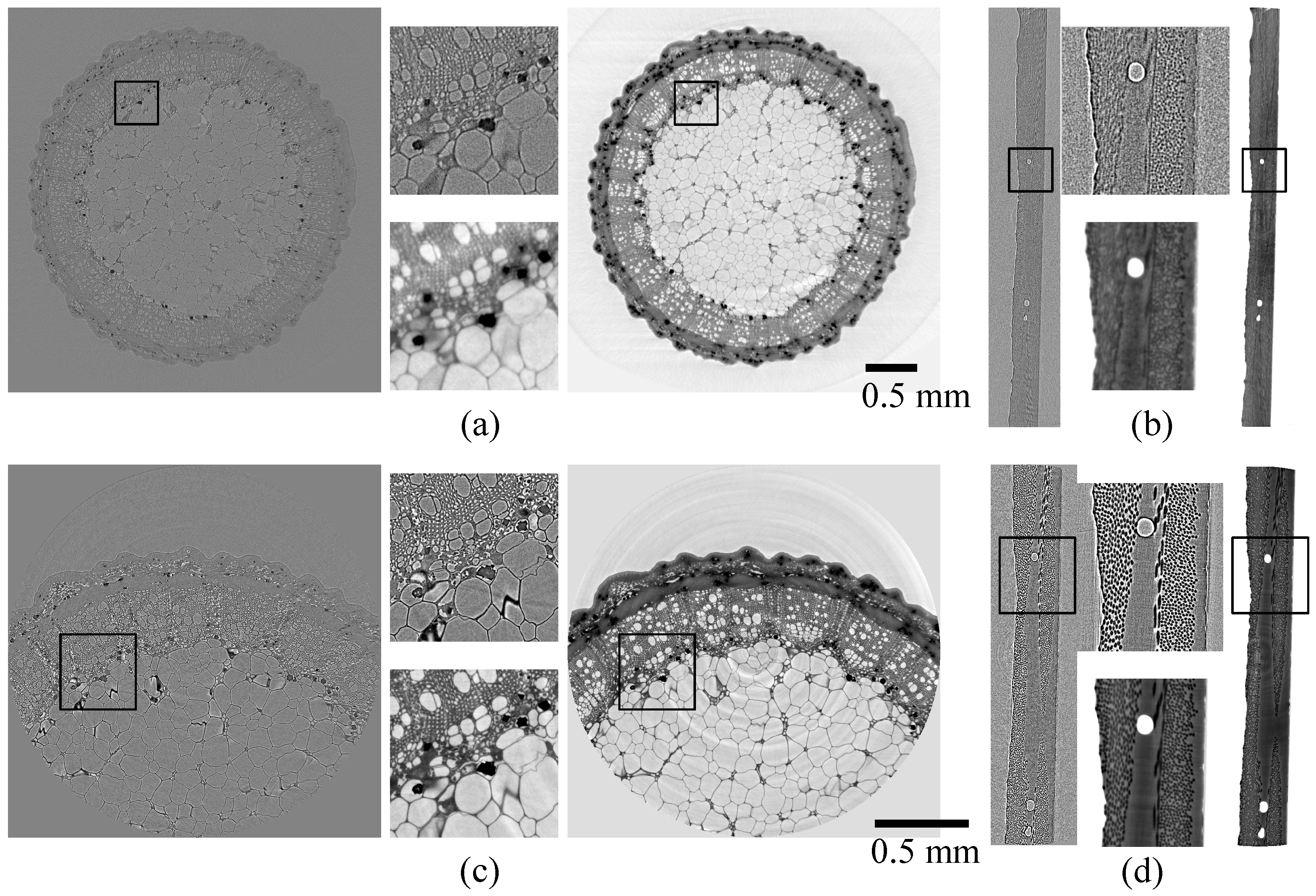 Jimaging 08 00037 g001 550