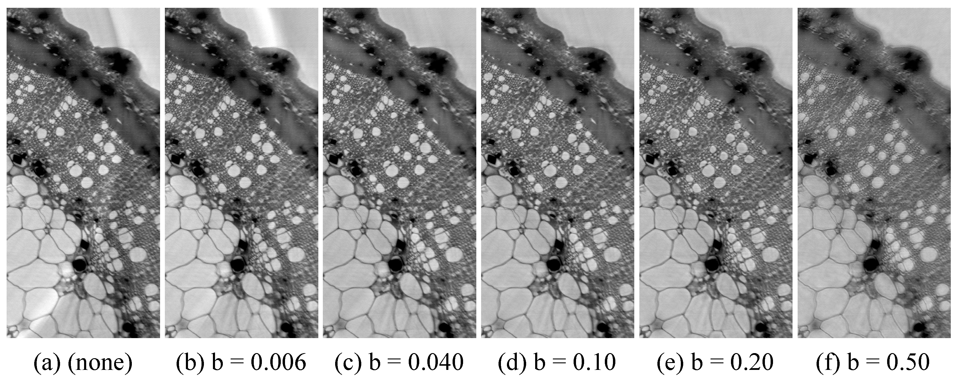 Jimaging 08 00037 g002 550