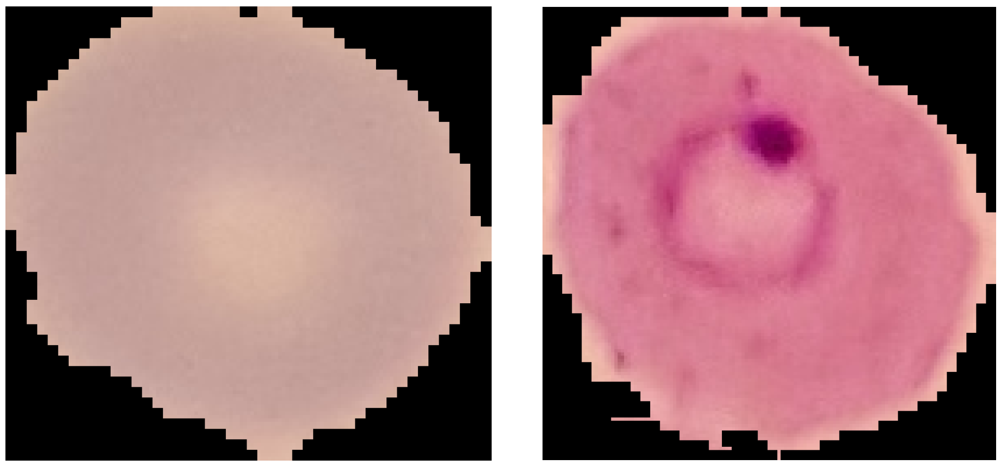 Jimaging 08 00066 g001