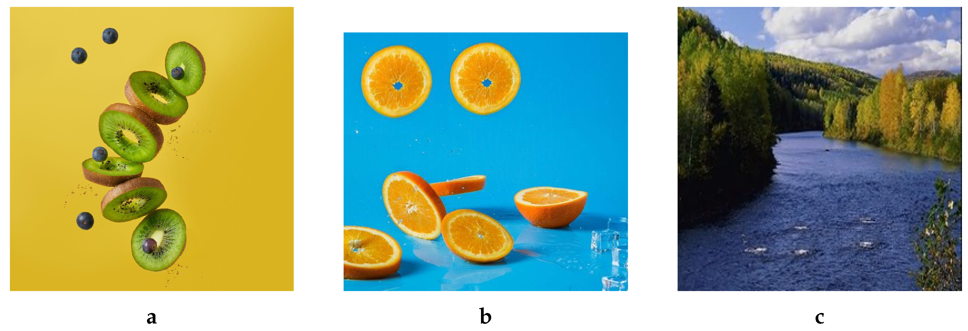 Jimaging 08 00069 g013 550