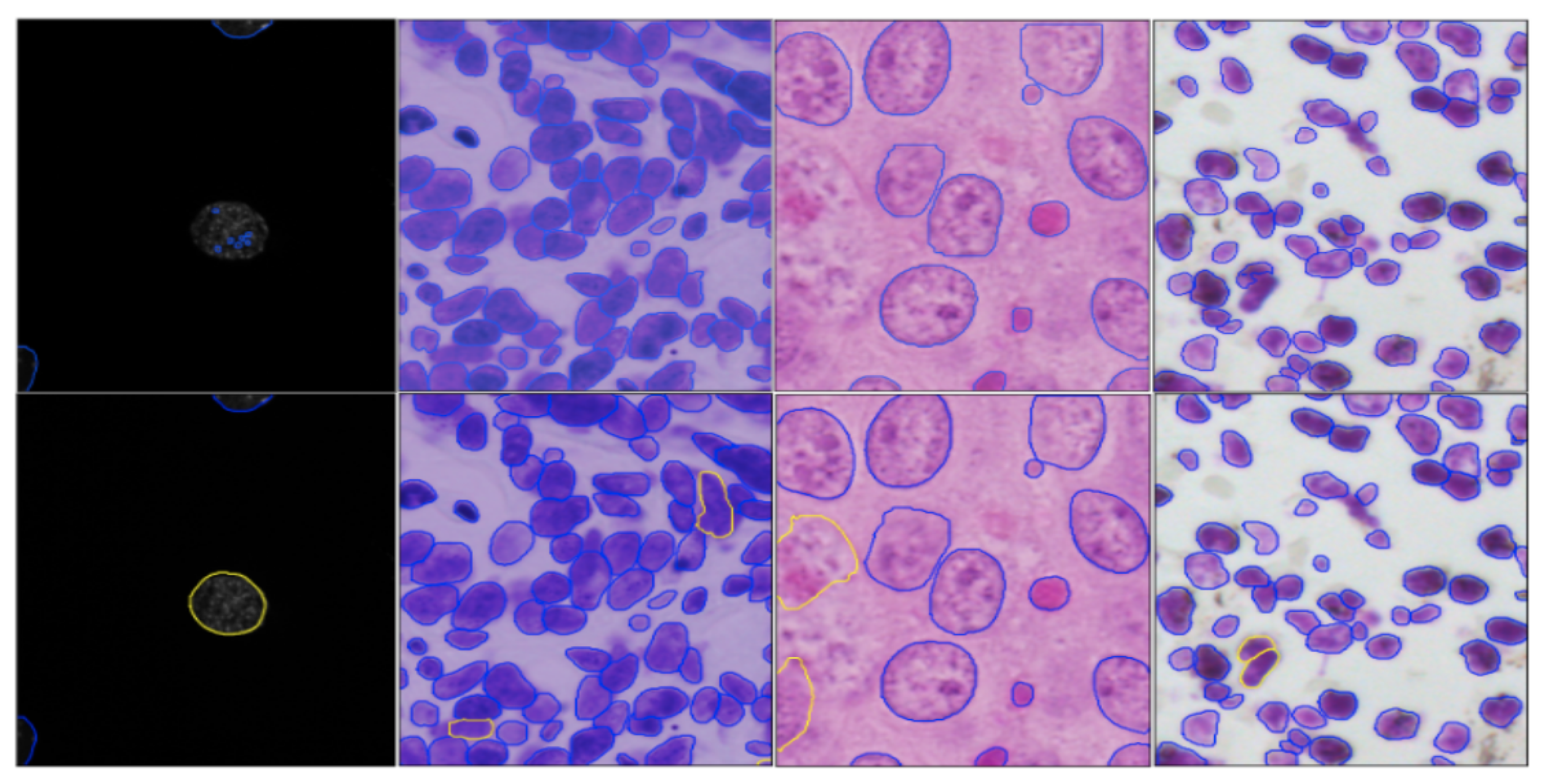 Jimaging 08 00071 g004