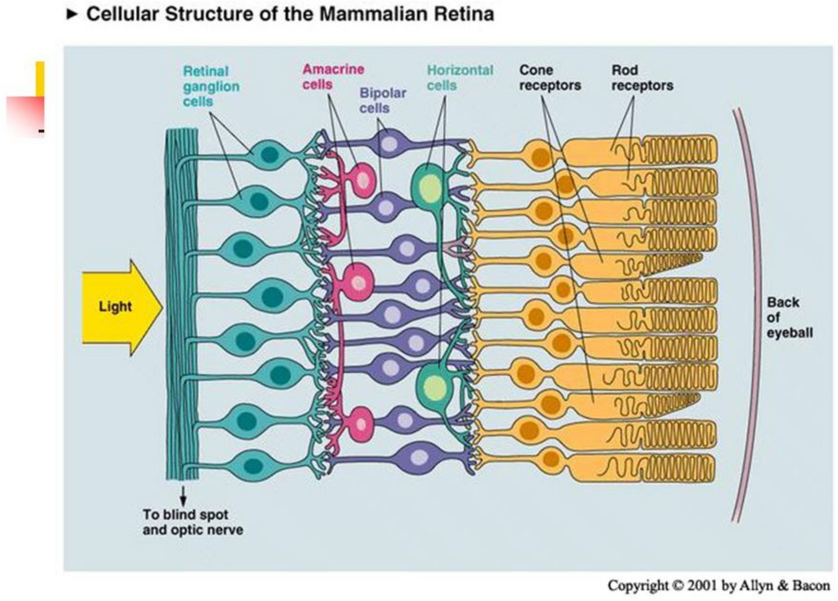 Jimaging 08 00076 g003