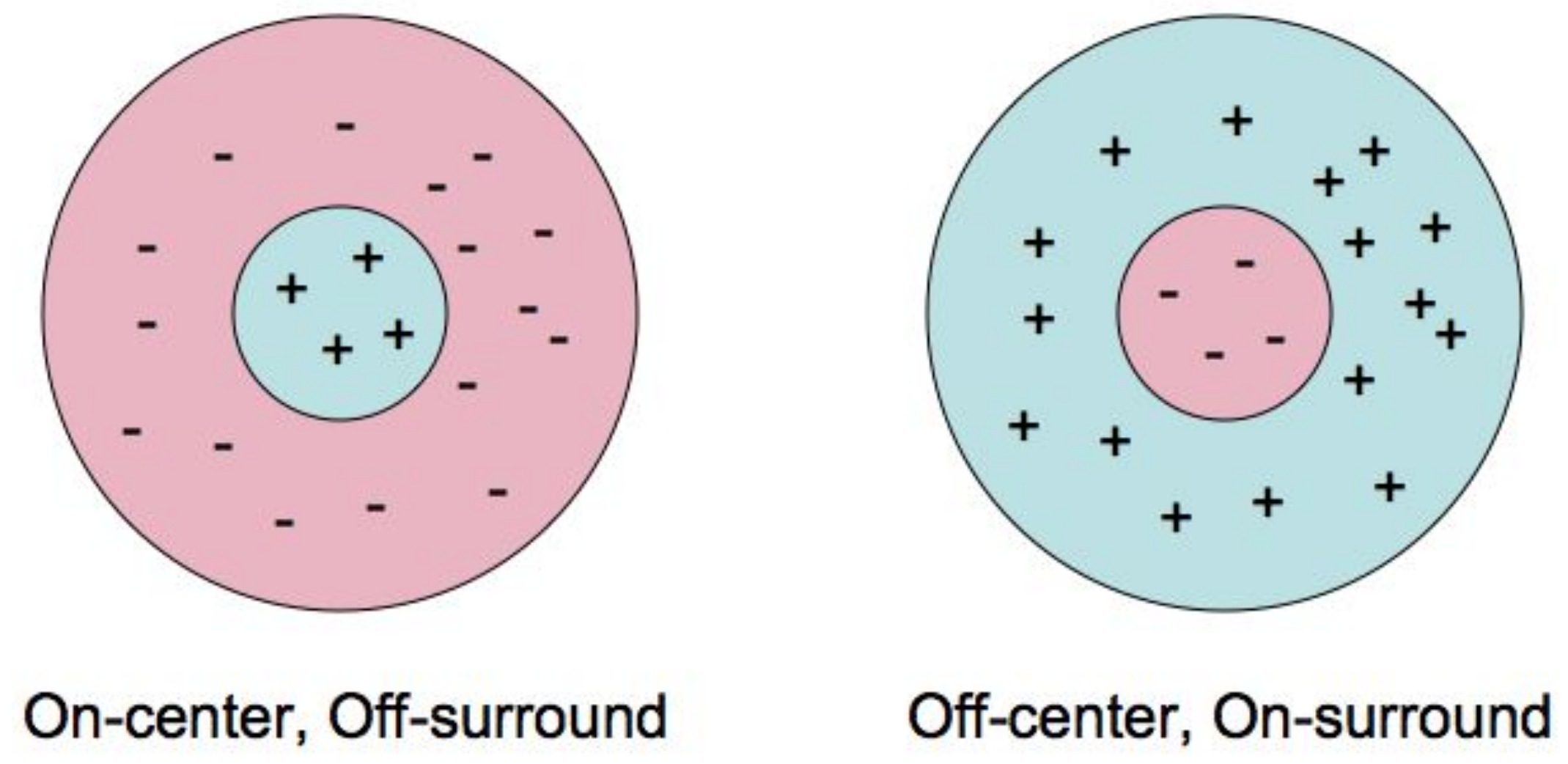 Jimaging 08 00076 g004