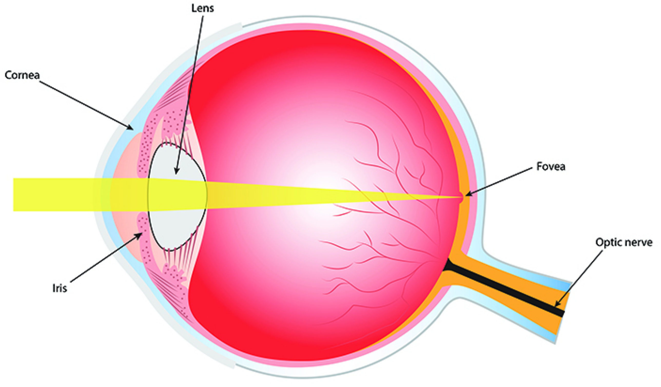 Jimaging 08 00076 g006
