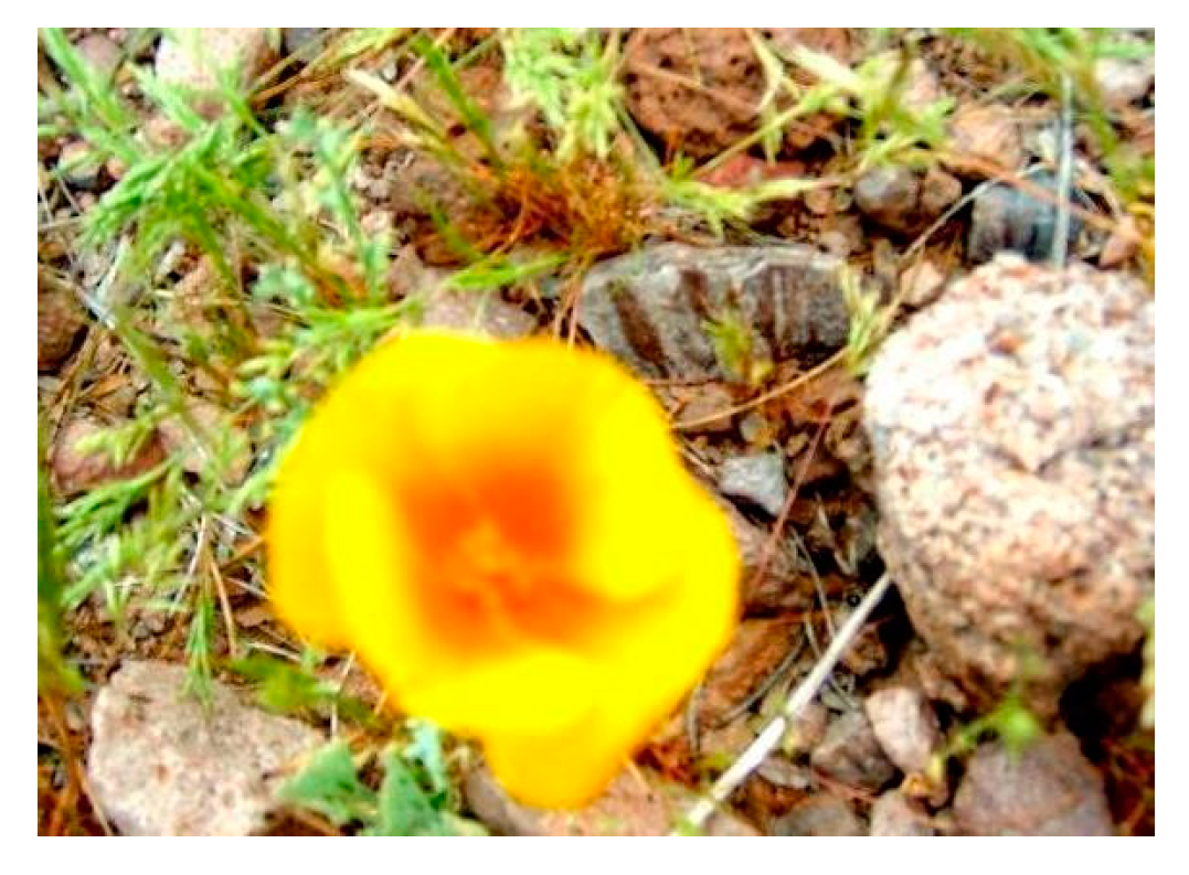 Jimaging 08 00085 g012