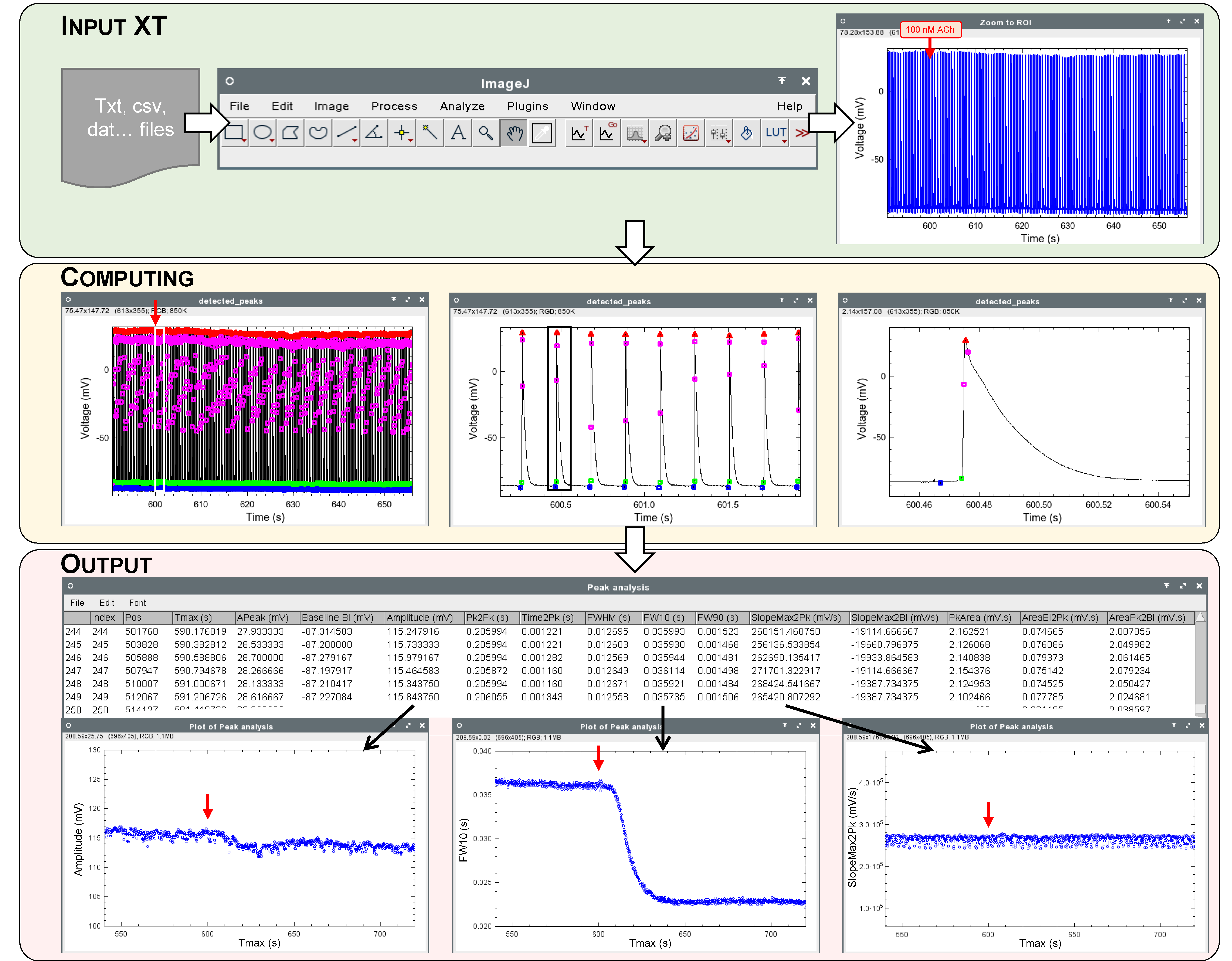 imagej software facial analysis