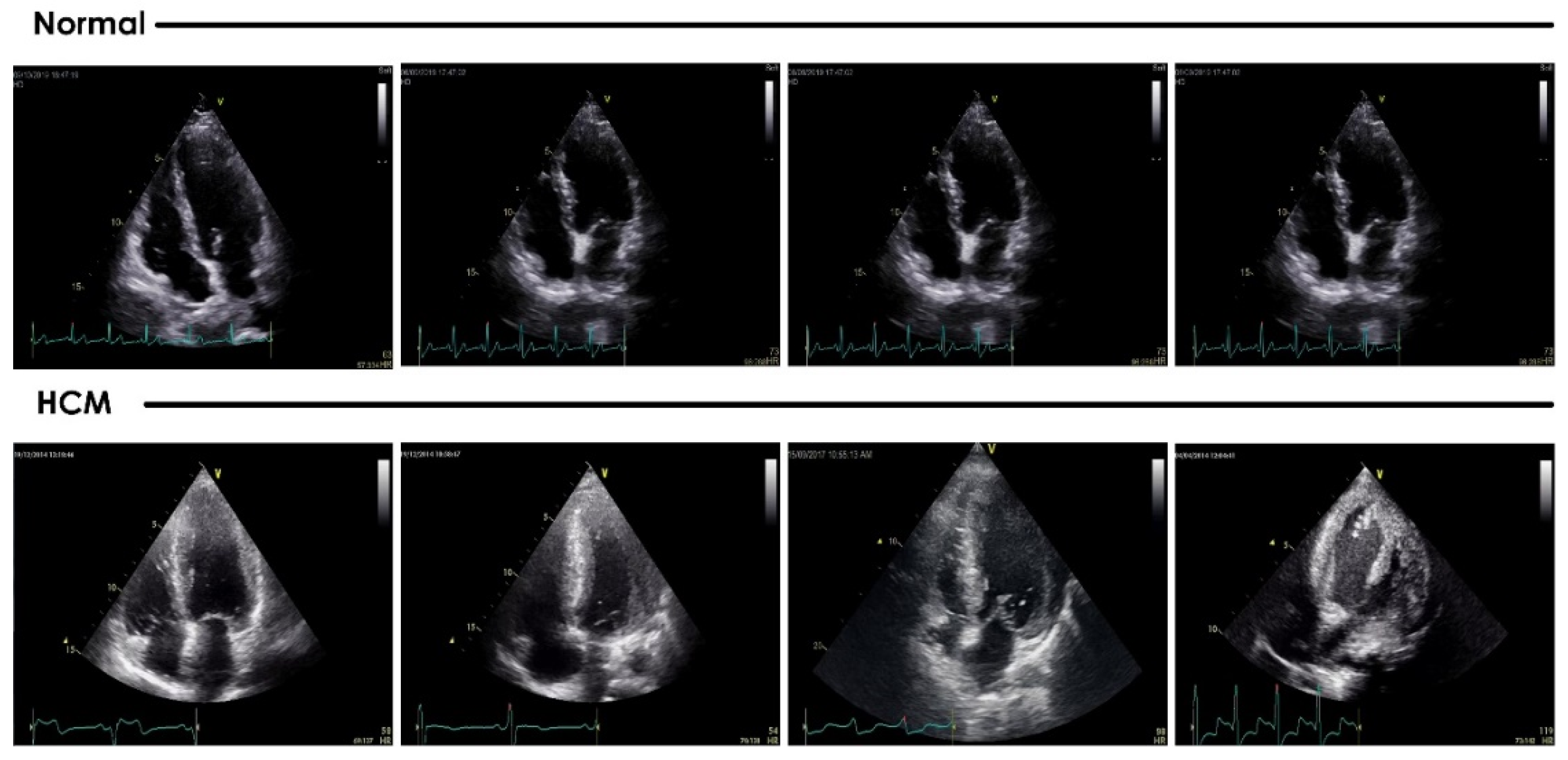 Jimaging 08 00102 g002