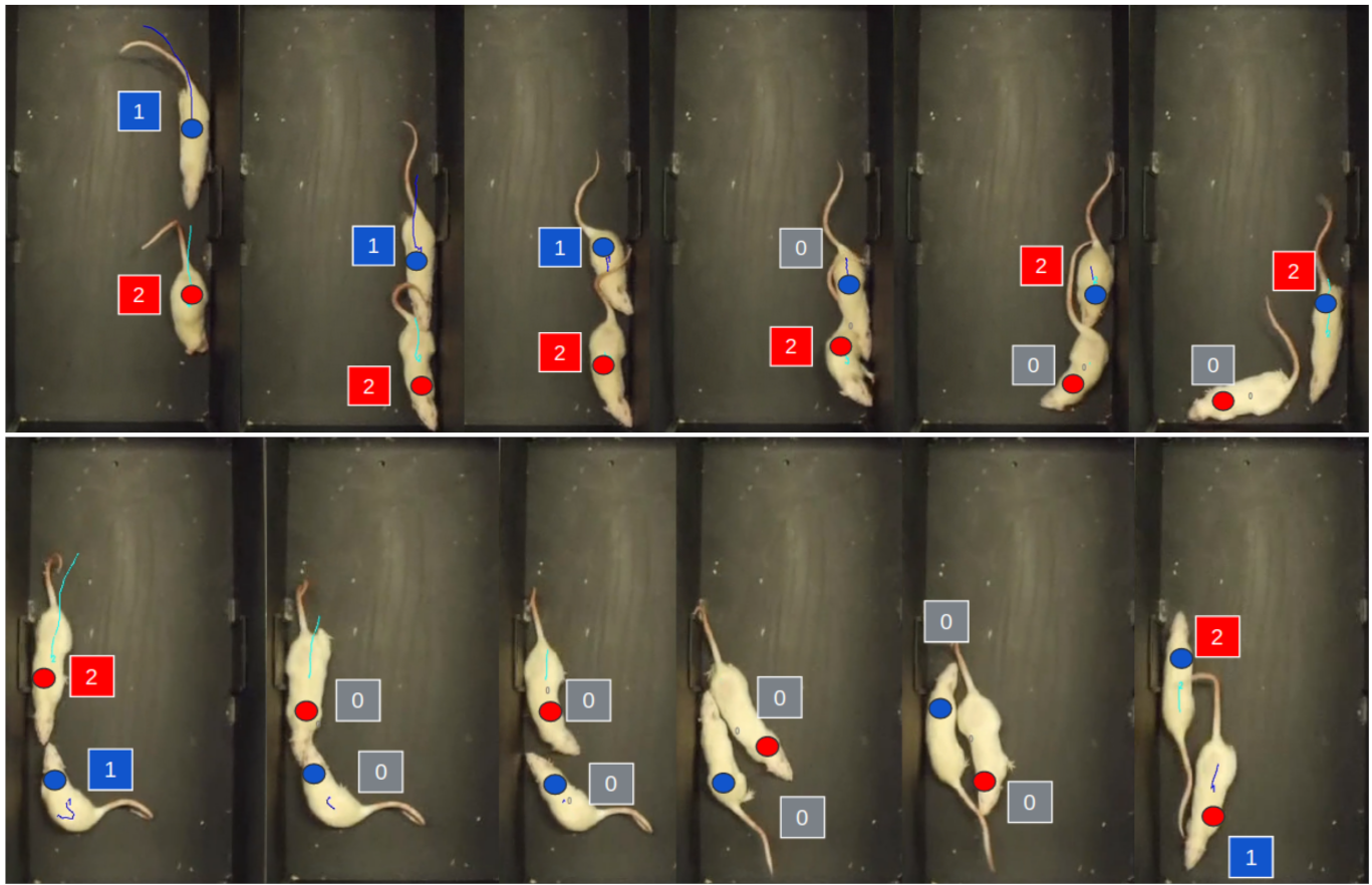 Jimaging 08 00109 g002 550