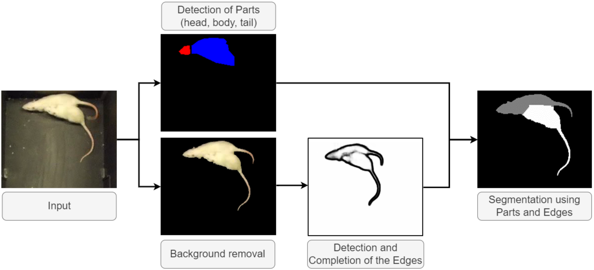 Jimaging 08 00109 g005 550