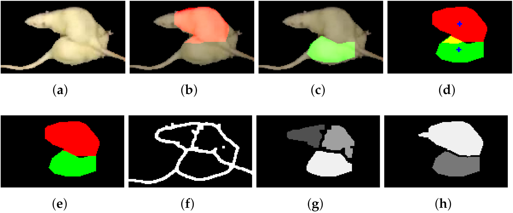 Jimaging 08 00109 g008 550