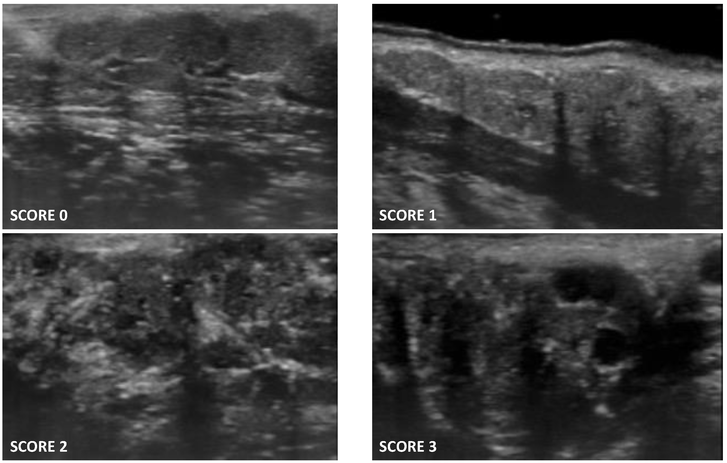 Jimaging 08 00111 g001
