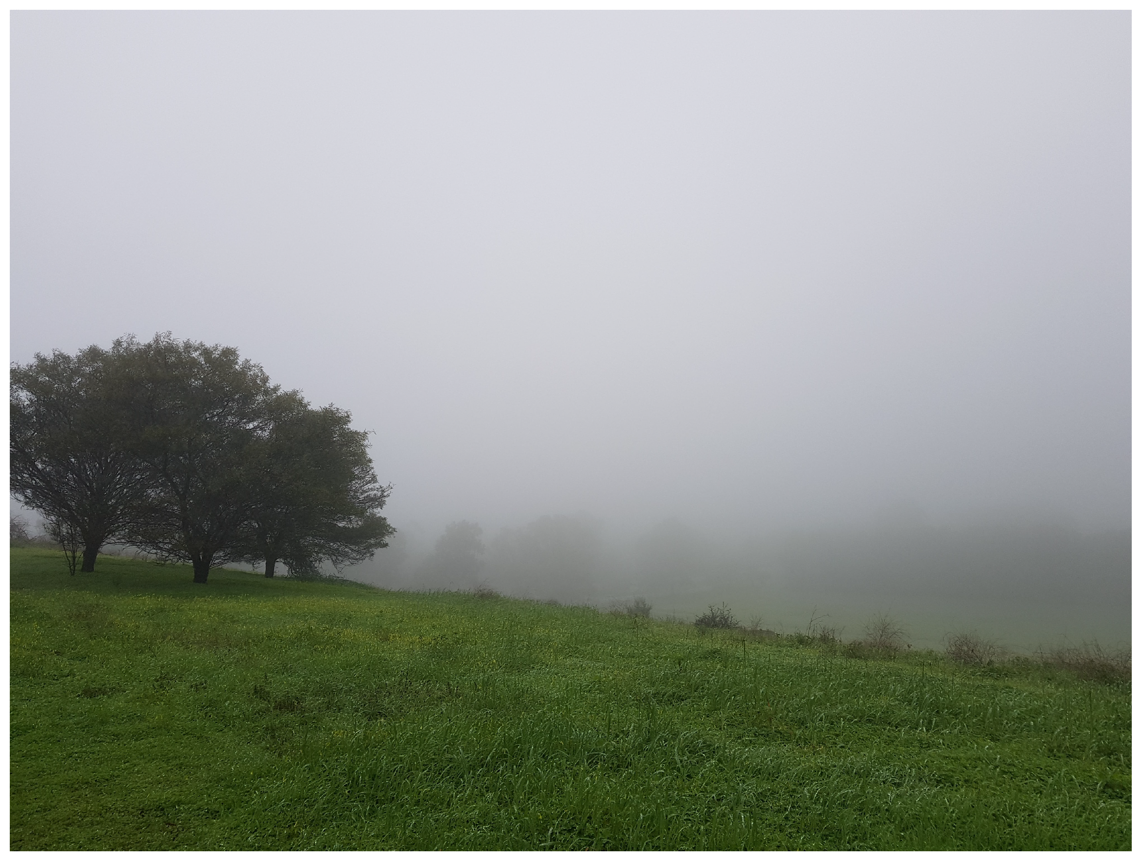 Jimaging 08 00116 g010 550