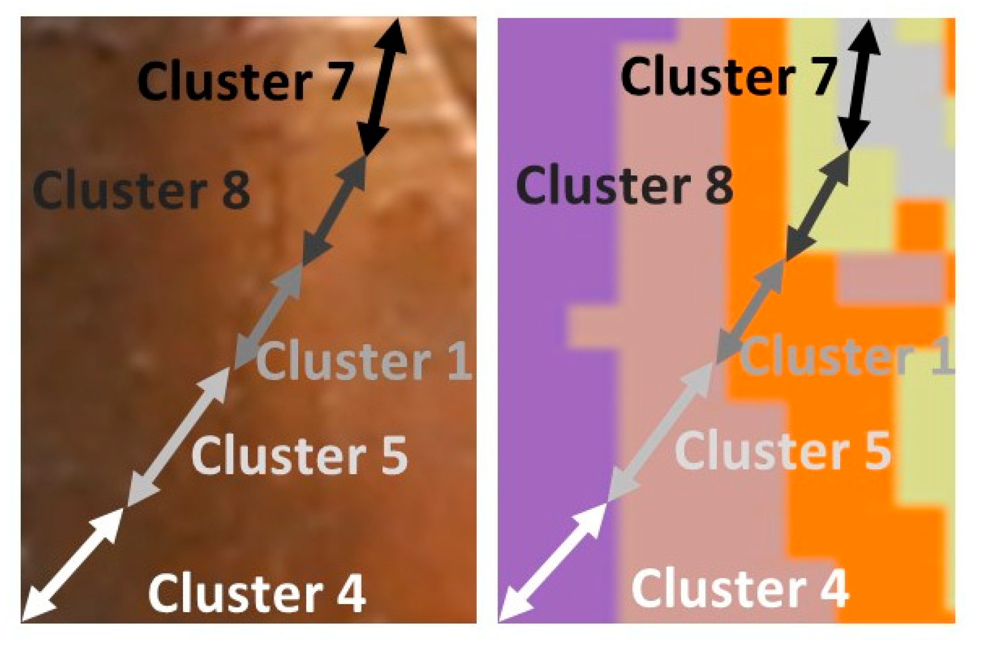 Jimaging 08 00147 g007