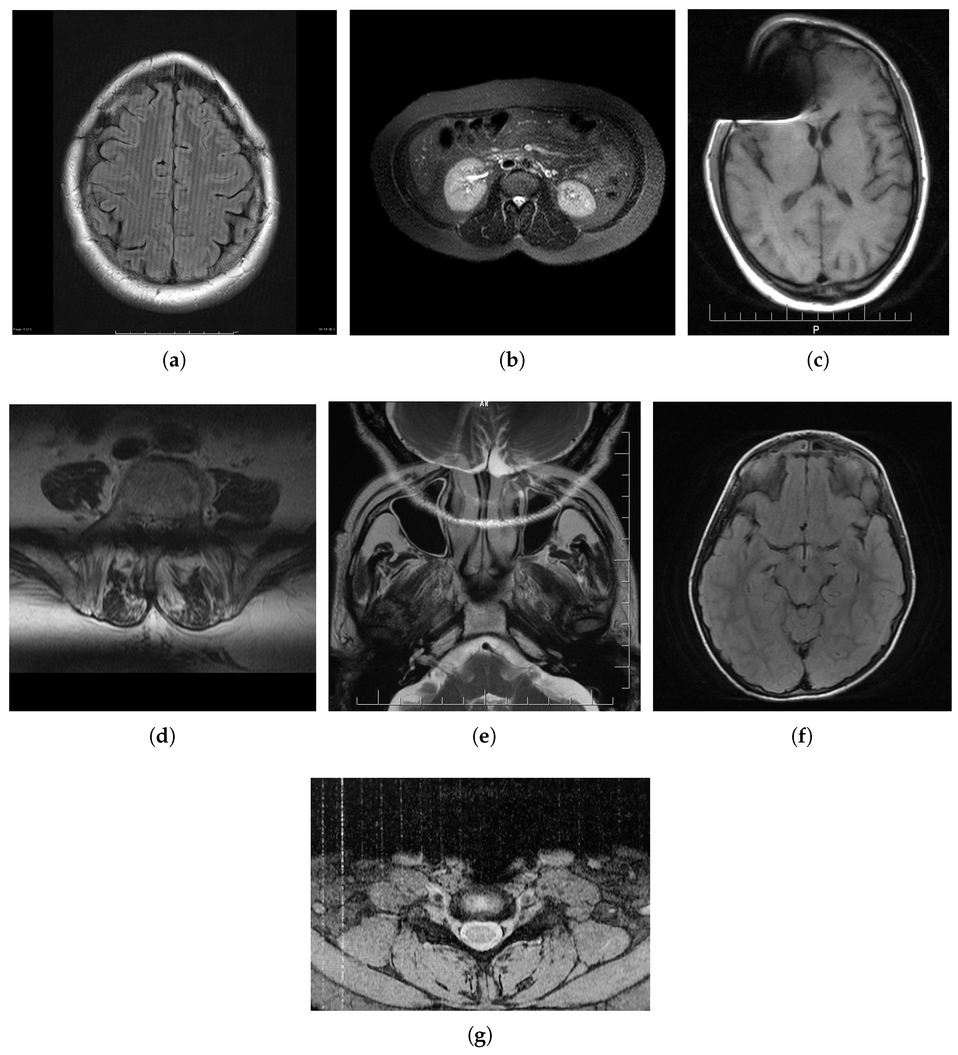 Jimaging 08 00160 g001