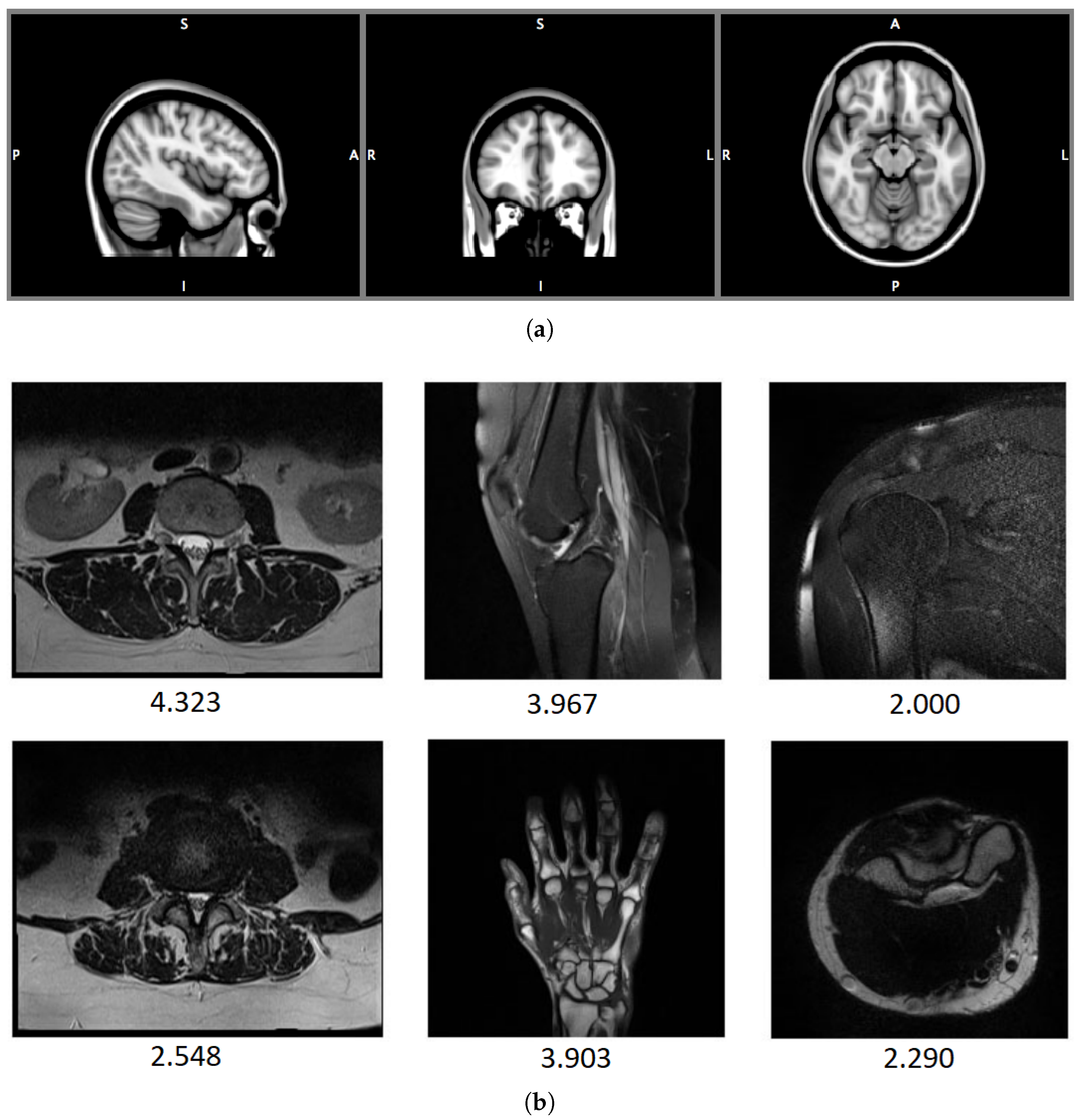 Jimaging 08 00160 g002