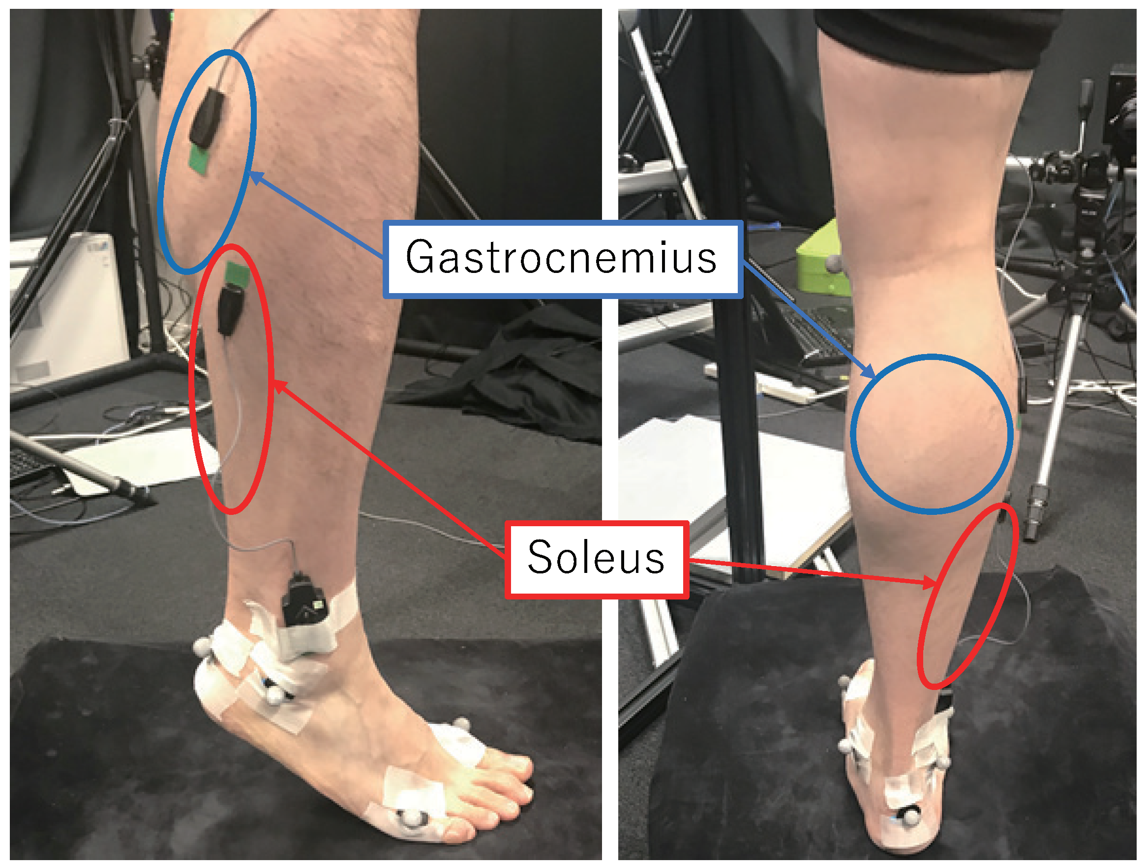 Jimaging 08 00168 g001