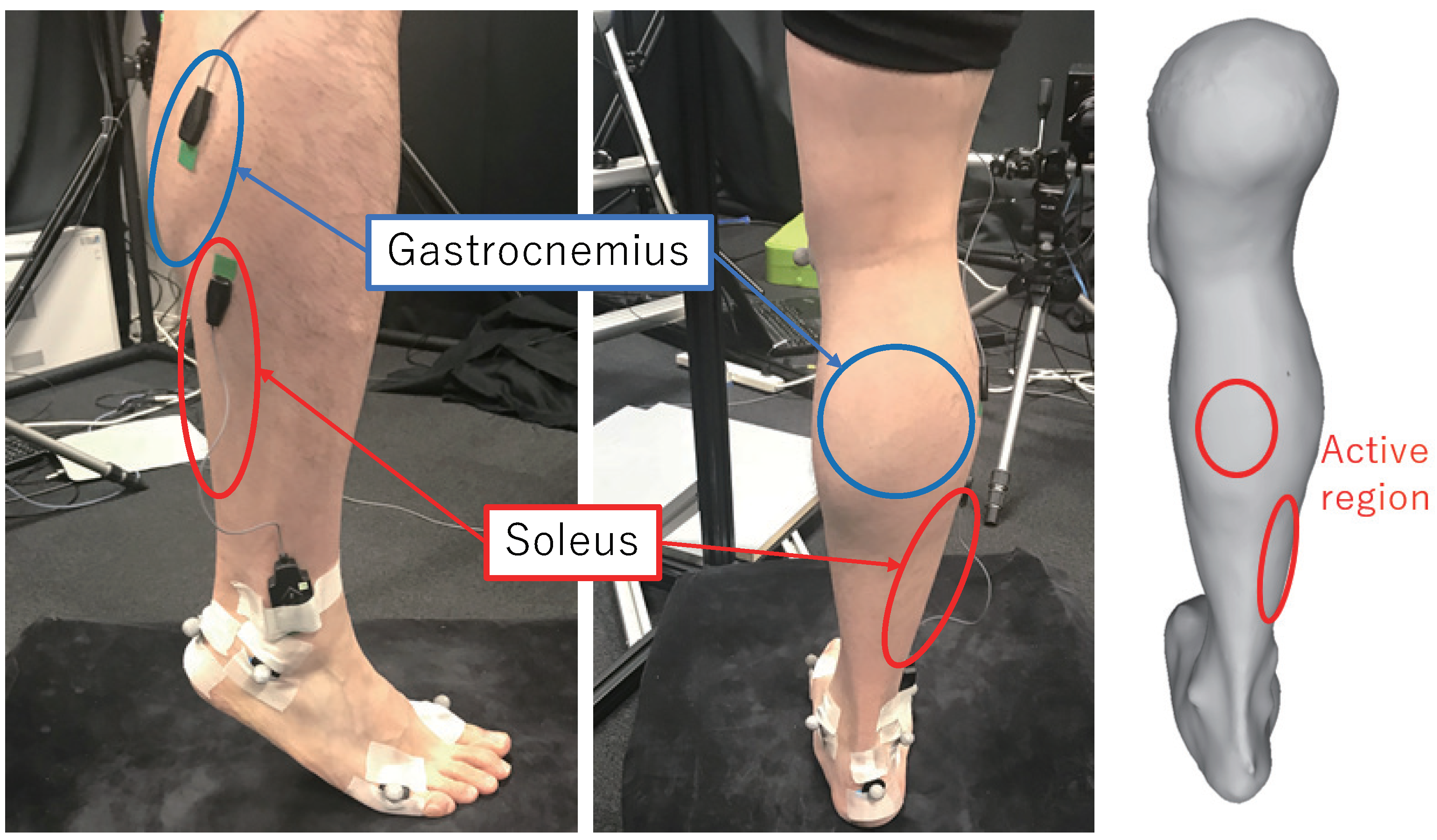 Jimaging 08 00168 g012