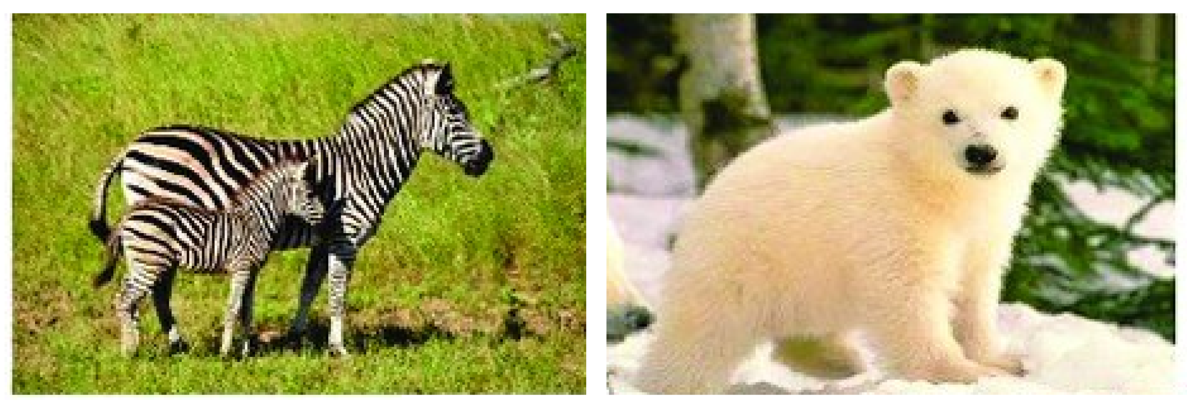 Jimaging 08 00171 g002 550