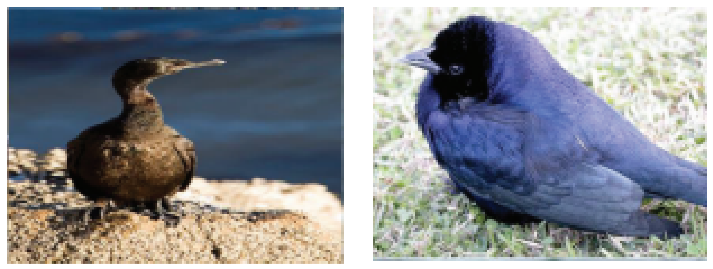 Jimaging 08 00171 g003 550