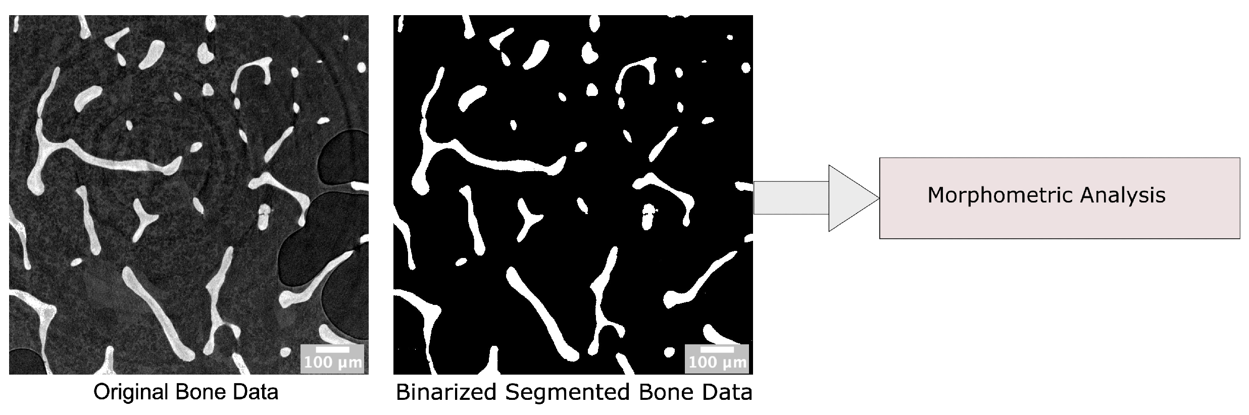 Jimaging 08 00187 g009