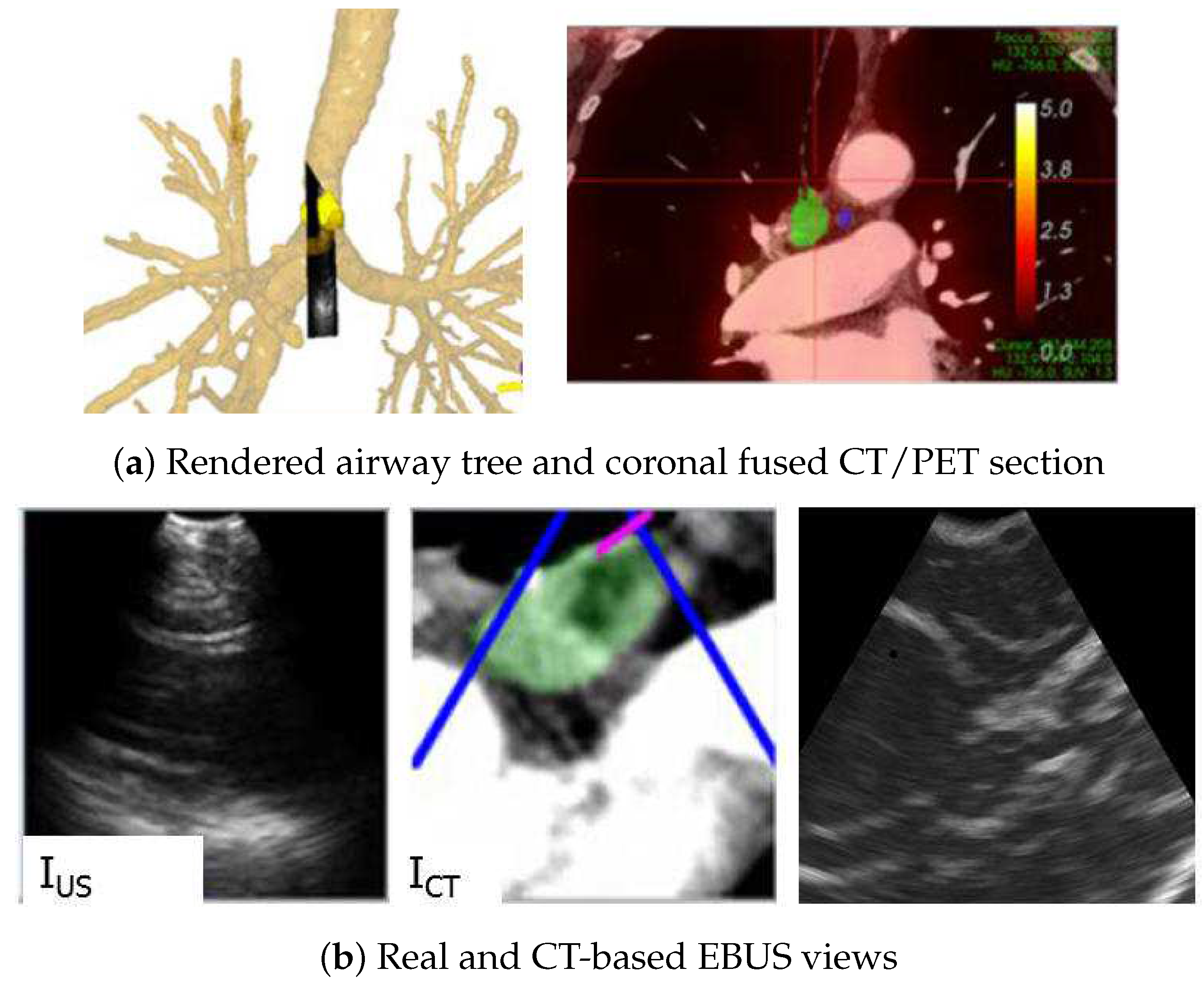 Jimaging 08 00189 g010