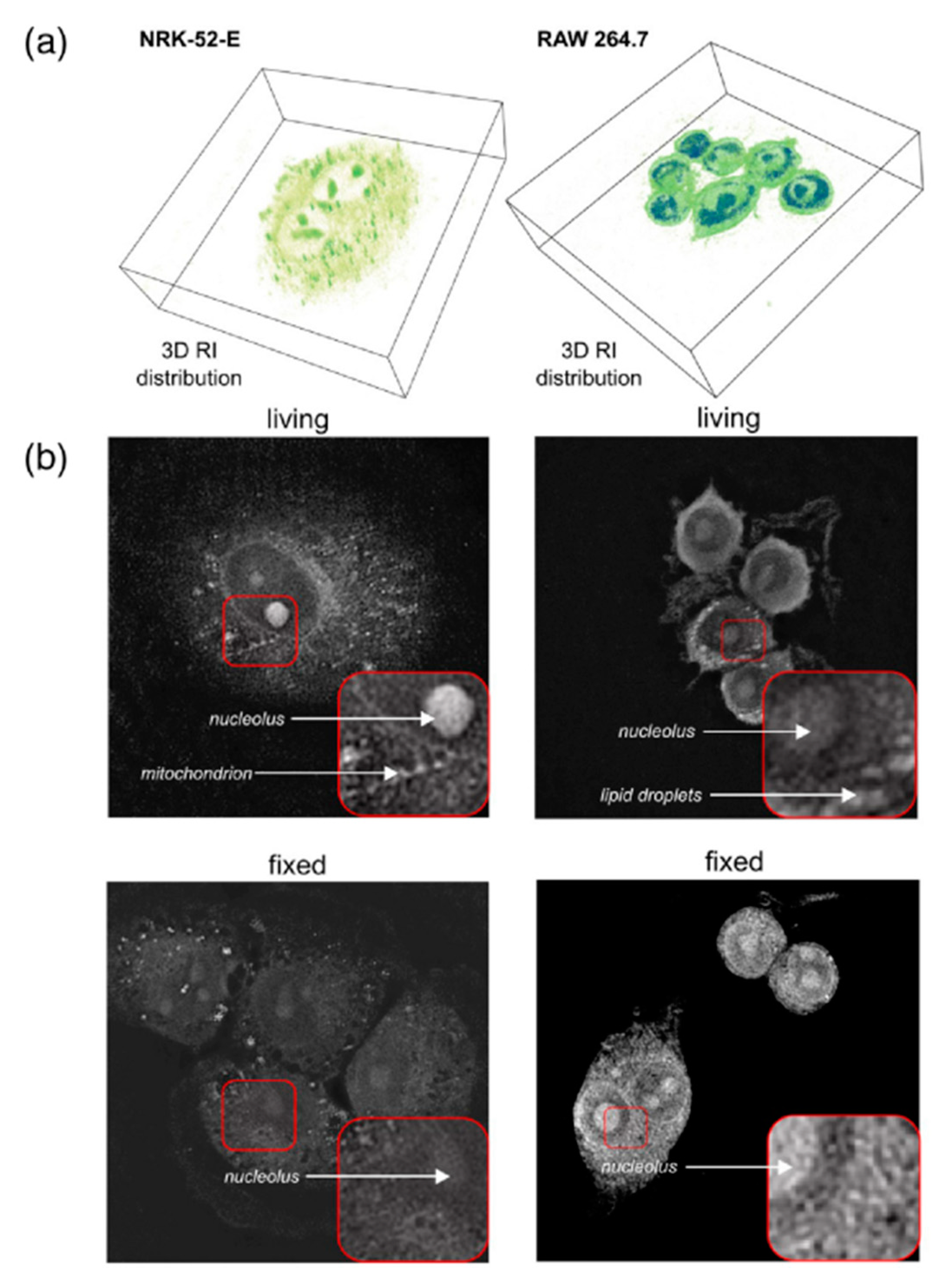 Jimaging 08 00196 g009