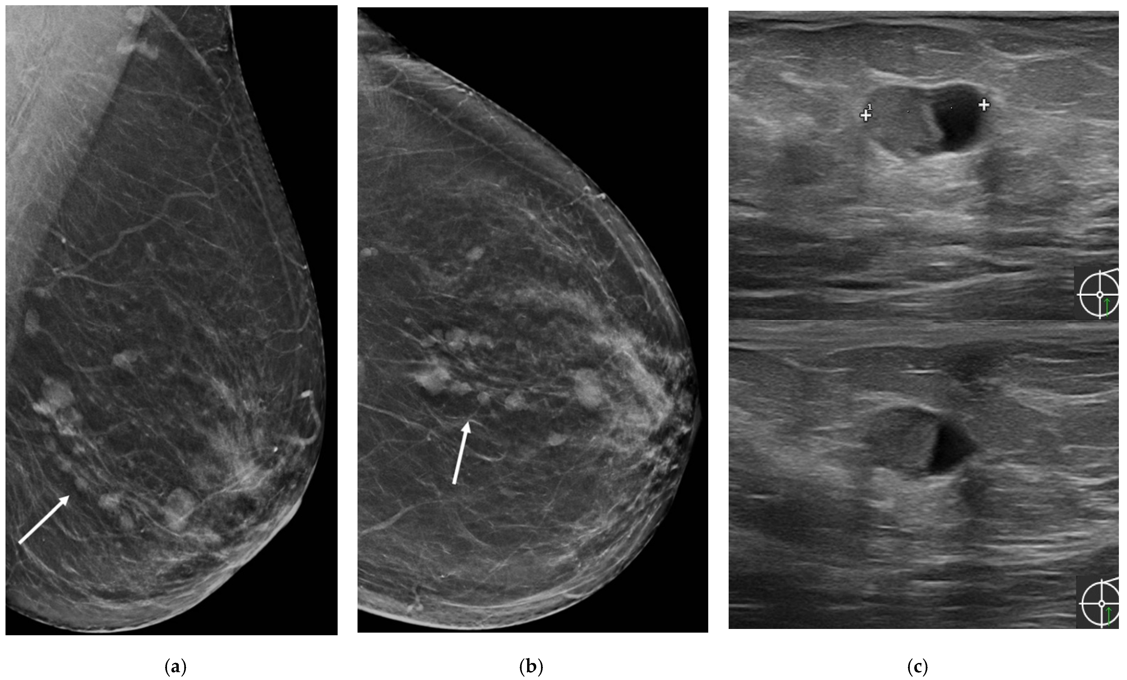 Jimaging 08 00198 g002 550