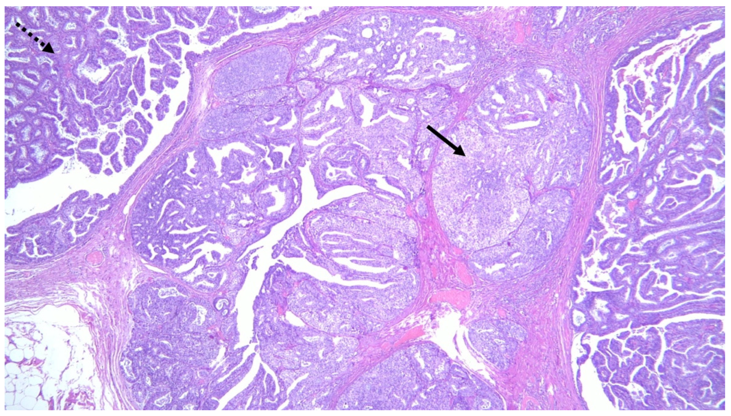 Jimaging 08 00198 g007 550