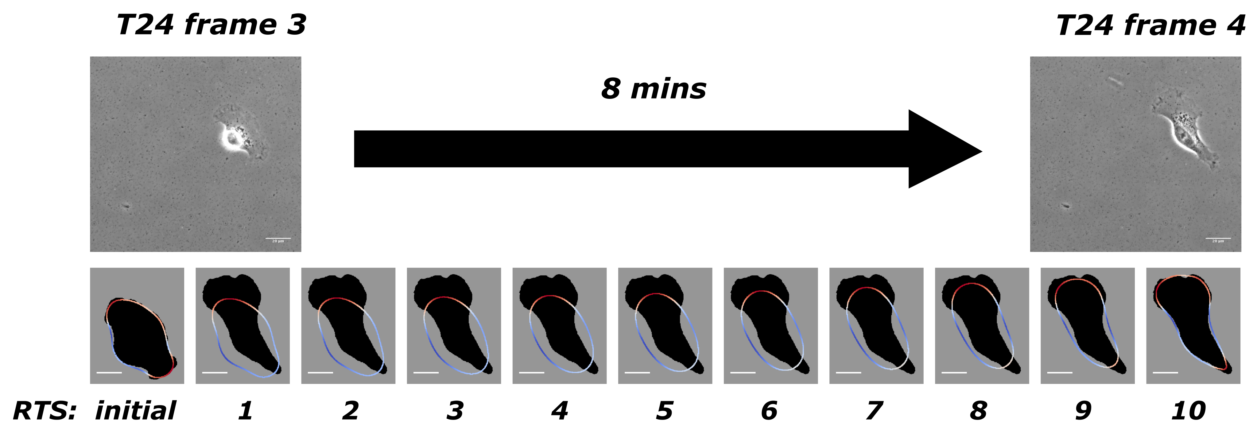 Jimaging 08 00199 g001 550