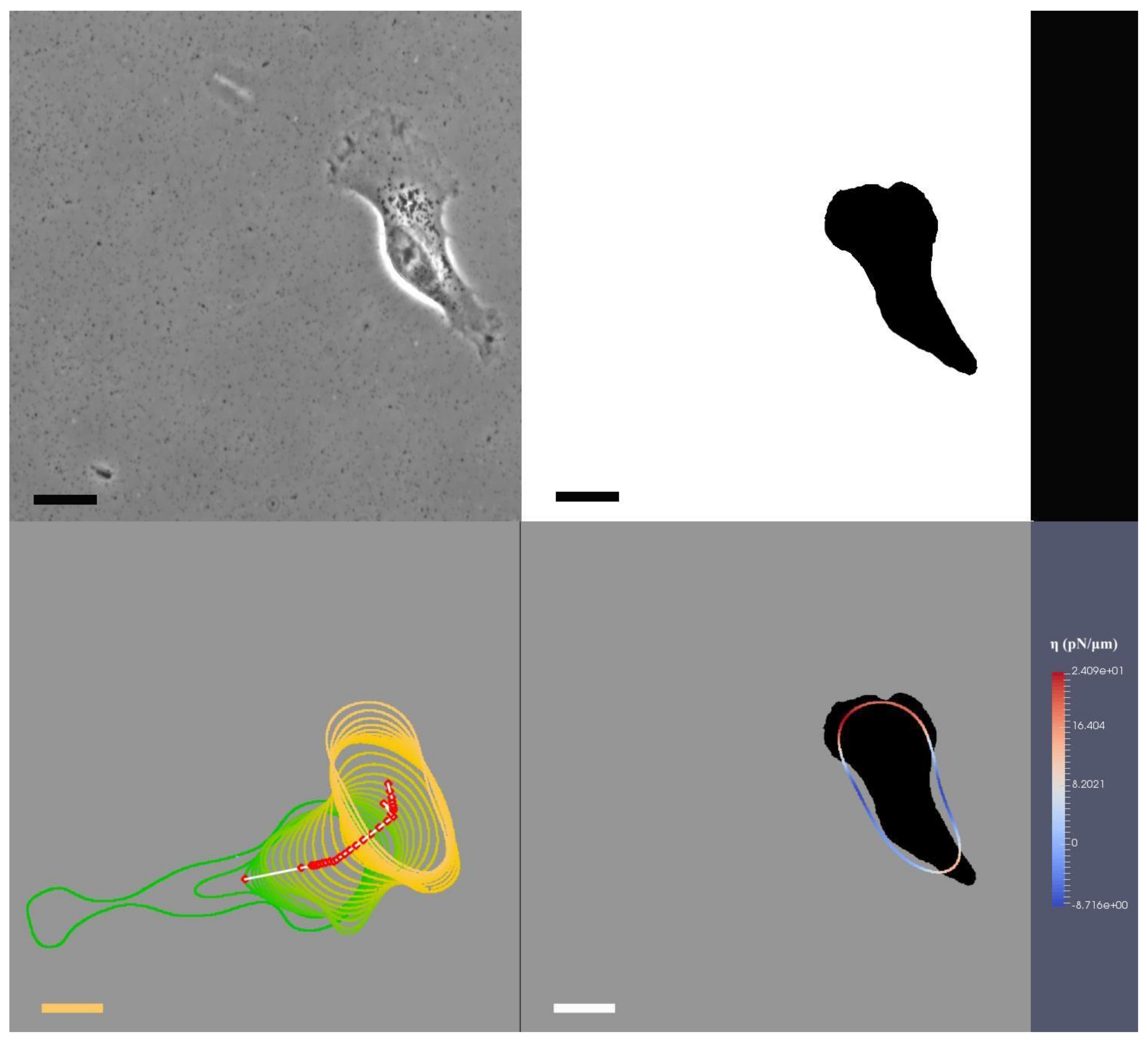 Jimaging 08 00199 g002 550