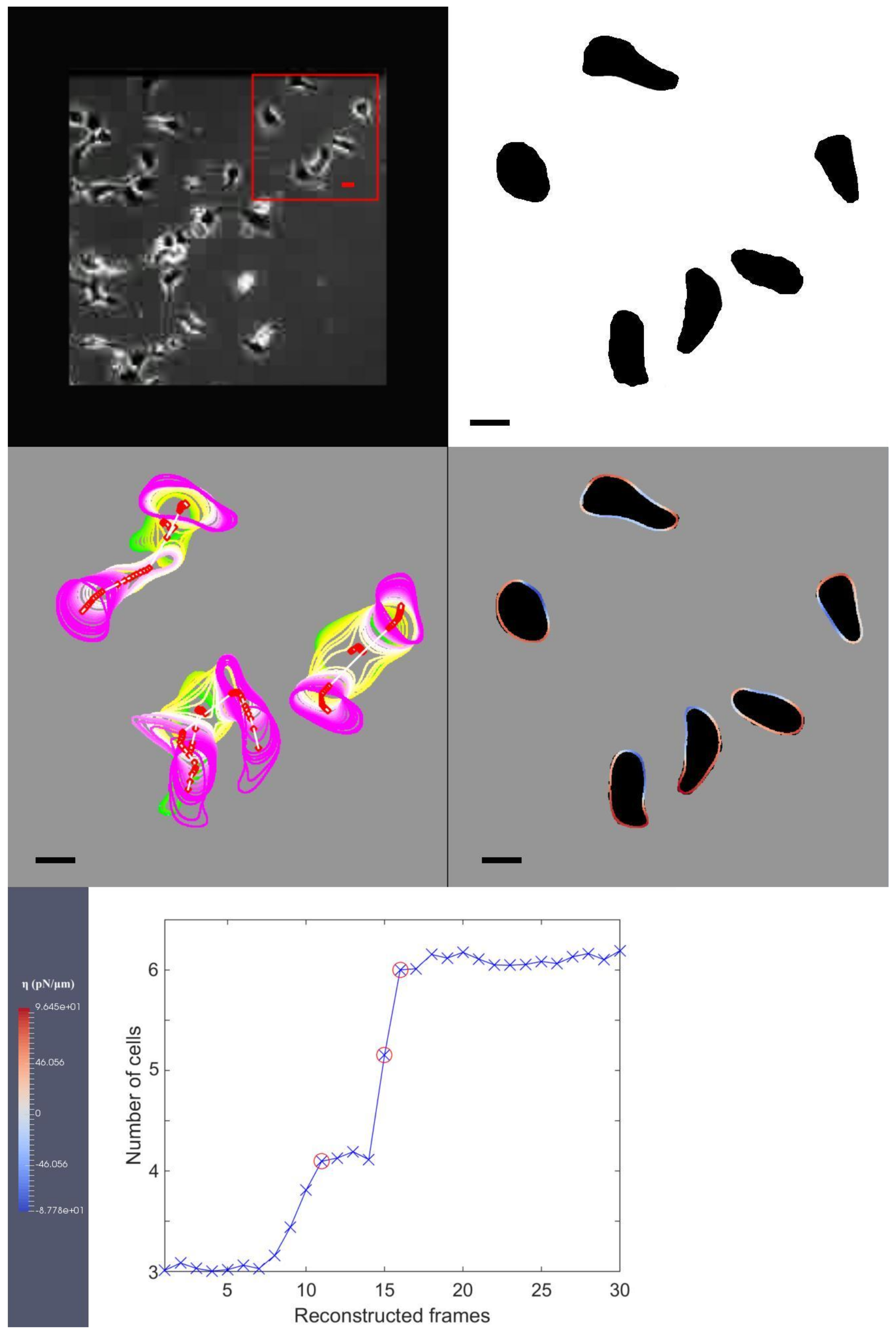 Jimaging 08 00199 g003 550