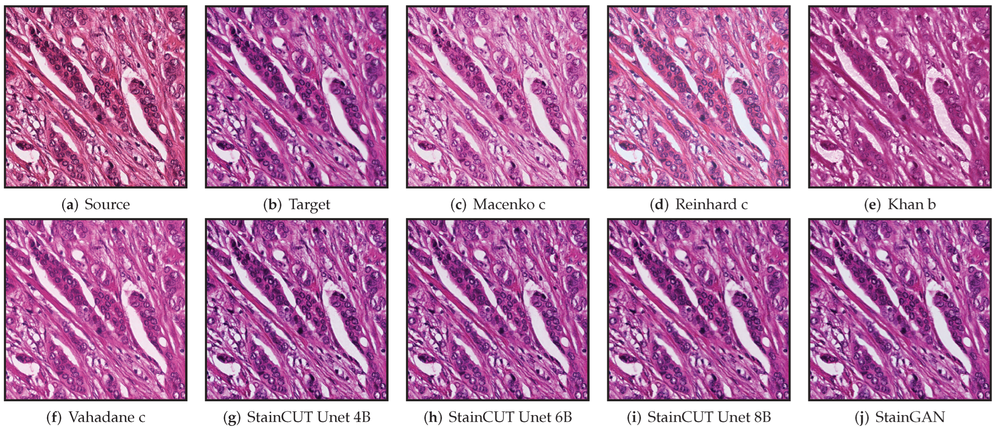 Jimaging 08 00202 g006 550