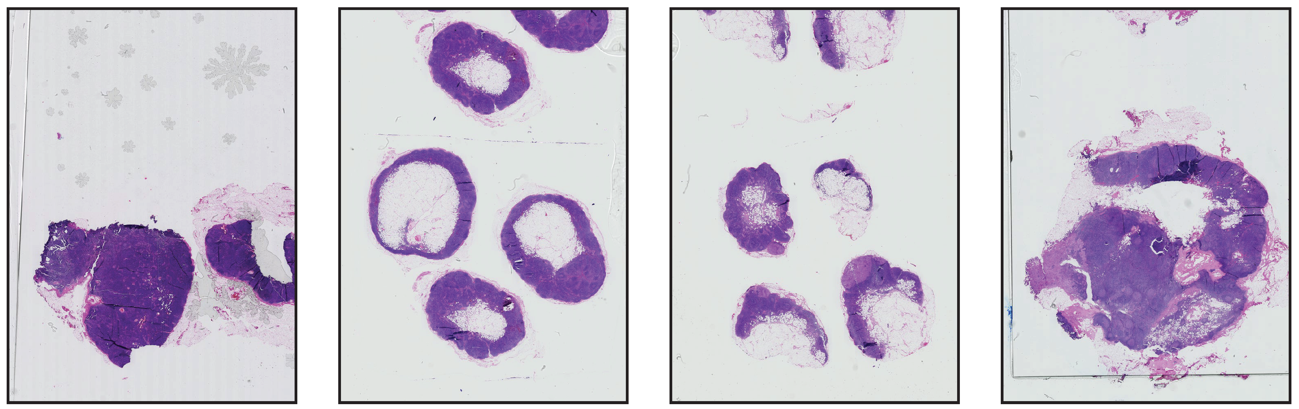 Jimaging 08 00202 g008 550